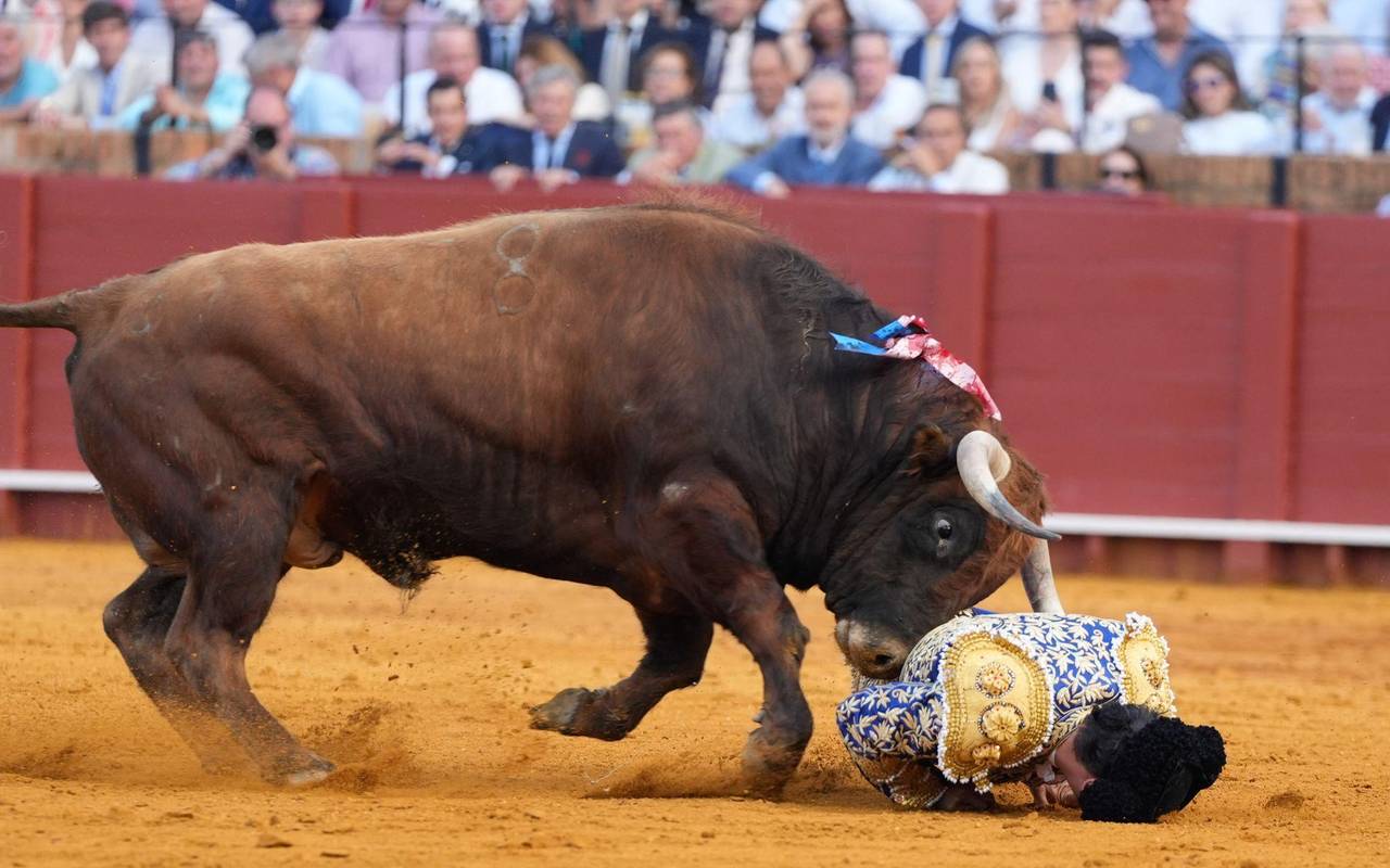 Stierkampf in der Maestranza in Sevilla