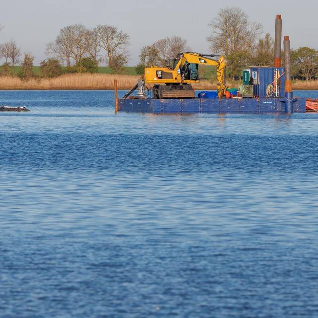 Weitere Entwicklung zum Buckelwal in der Ostsee