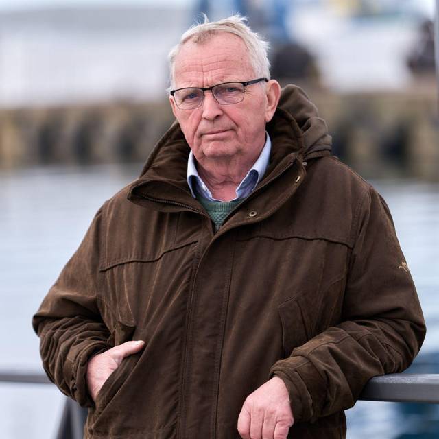 Buckelwal liegt in Wismarer Bucht