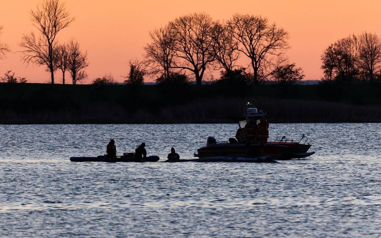Weitere Entwicklung zum Buckelwal in der Ostsee