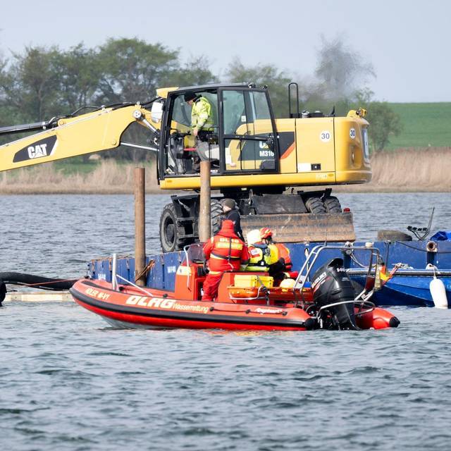 Weitere Entwicklung zum Buckelwal in der Ostsee