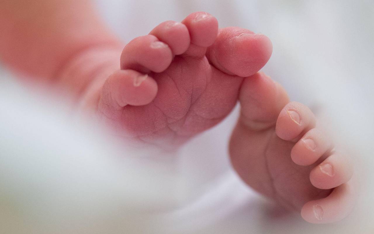 Sprit, Ehrenamt, öffentlicher Dienst – was sich im Mai ändert