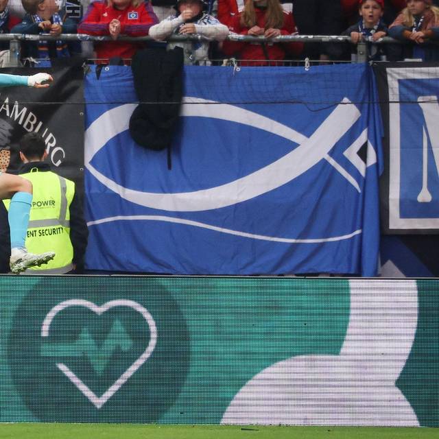 Hamburger SV - TSG 1899 Hoffenheim