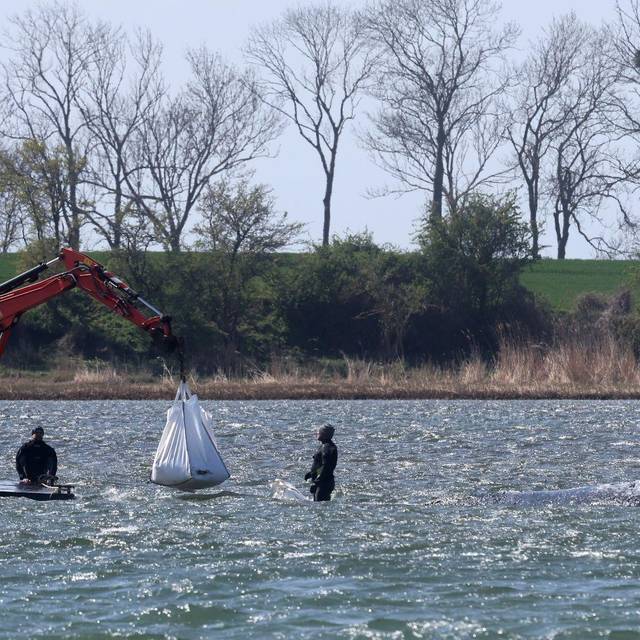 Ministerium duldet möglichen Transport des Buckelwals