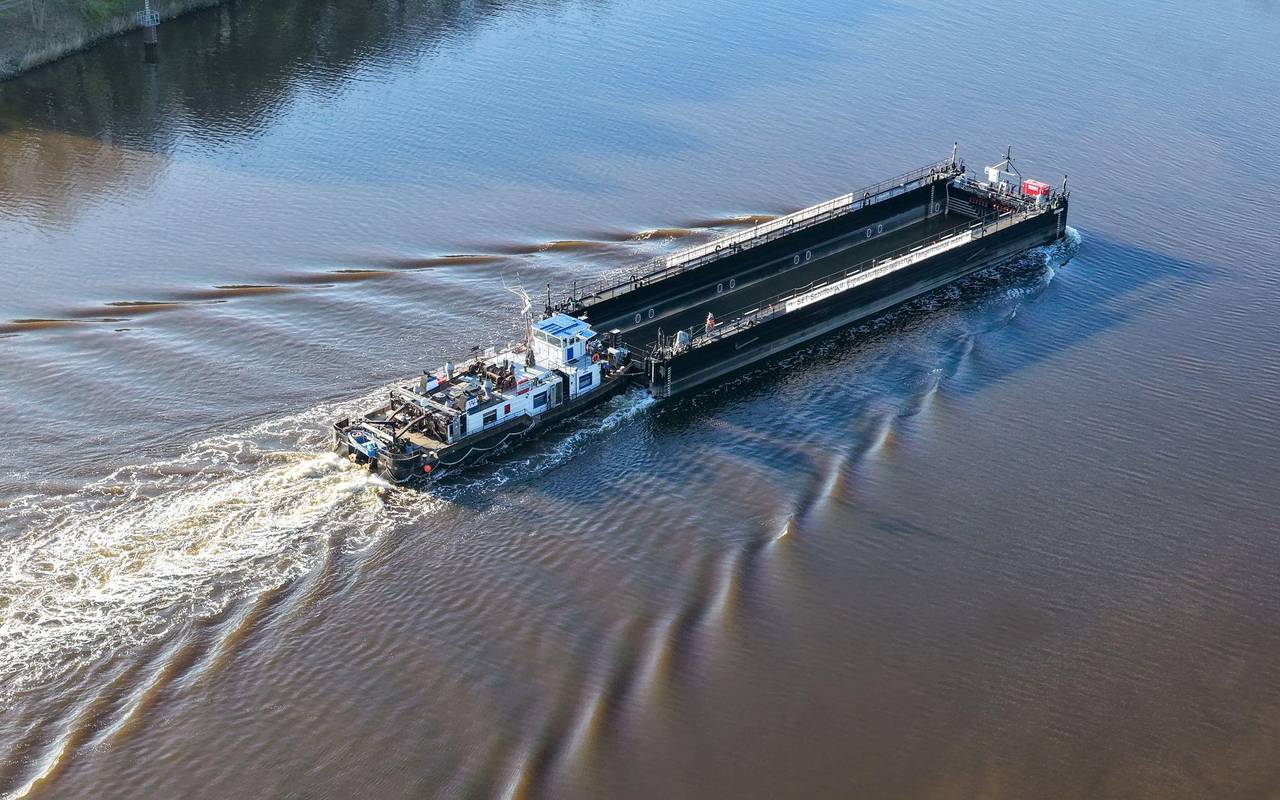 Weitere Entwicklung zum Buckelwal in der Ostsee