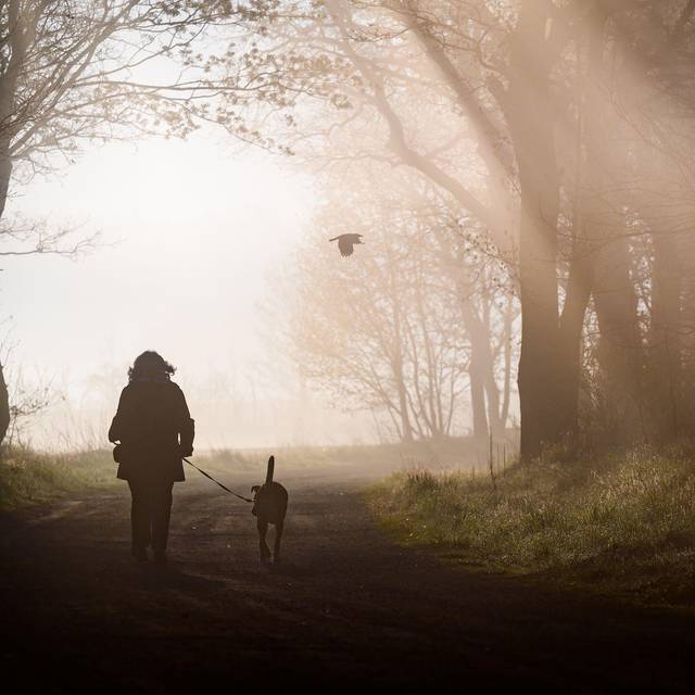 Morgenstimmung in Brandenburg