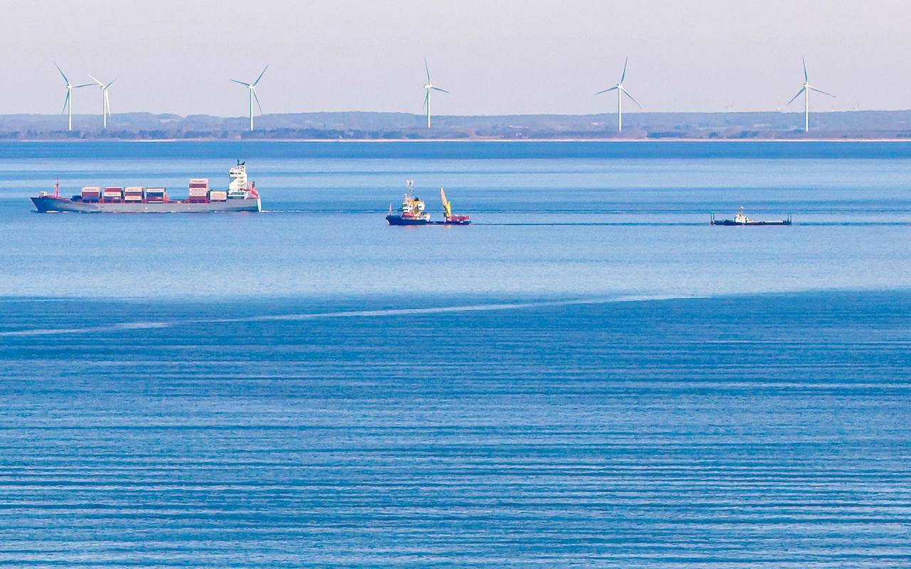 Weitere Entwicklung zum Buckelwal in der Ostsee