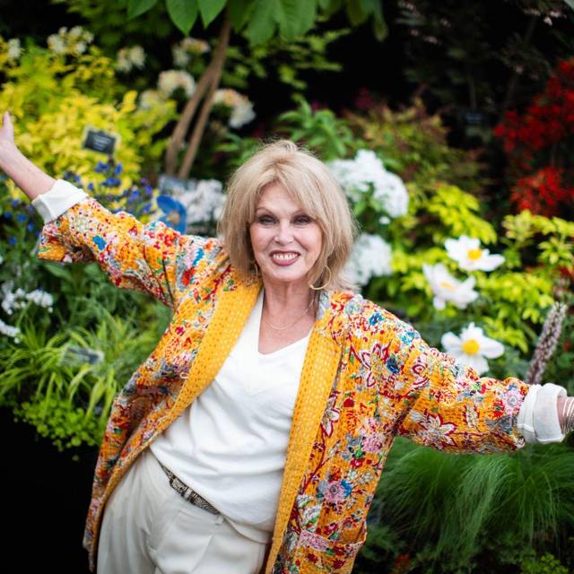 Nationalschatz und Comedy-Ikone: Joanna Lumley wird 80