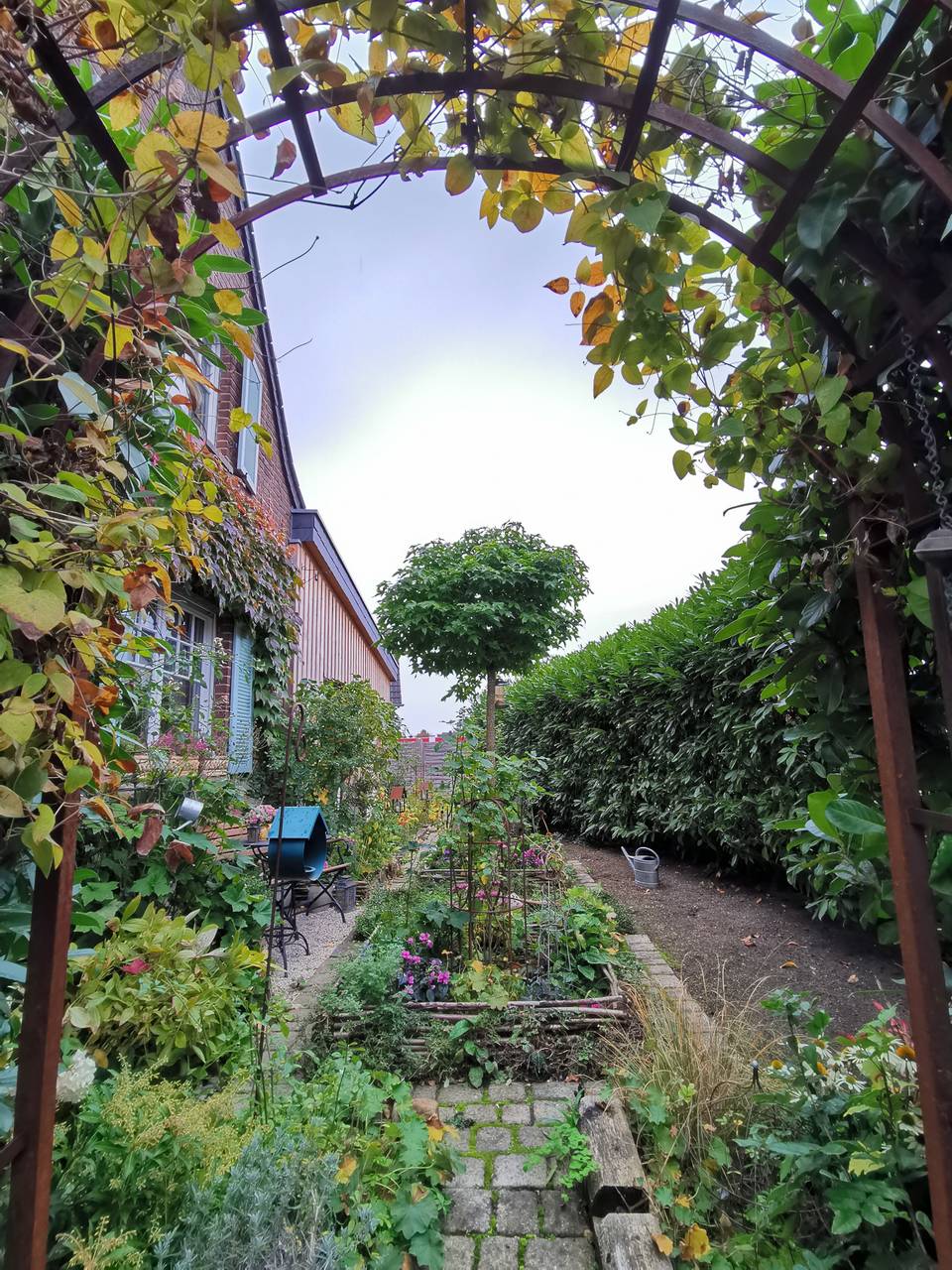 Kerpen Schönster in Brüggen Radio Erft