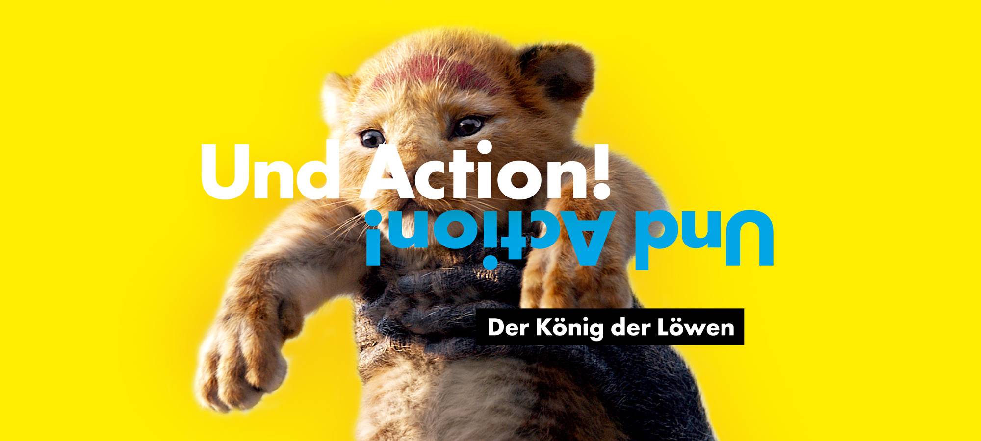 Das Radio Erft Kinoevent "König der Löwen"