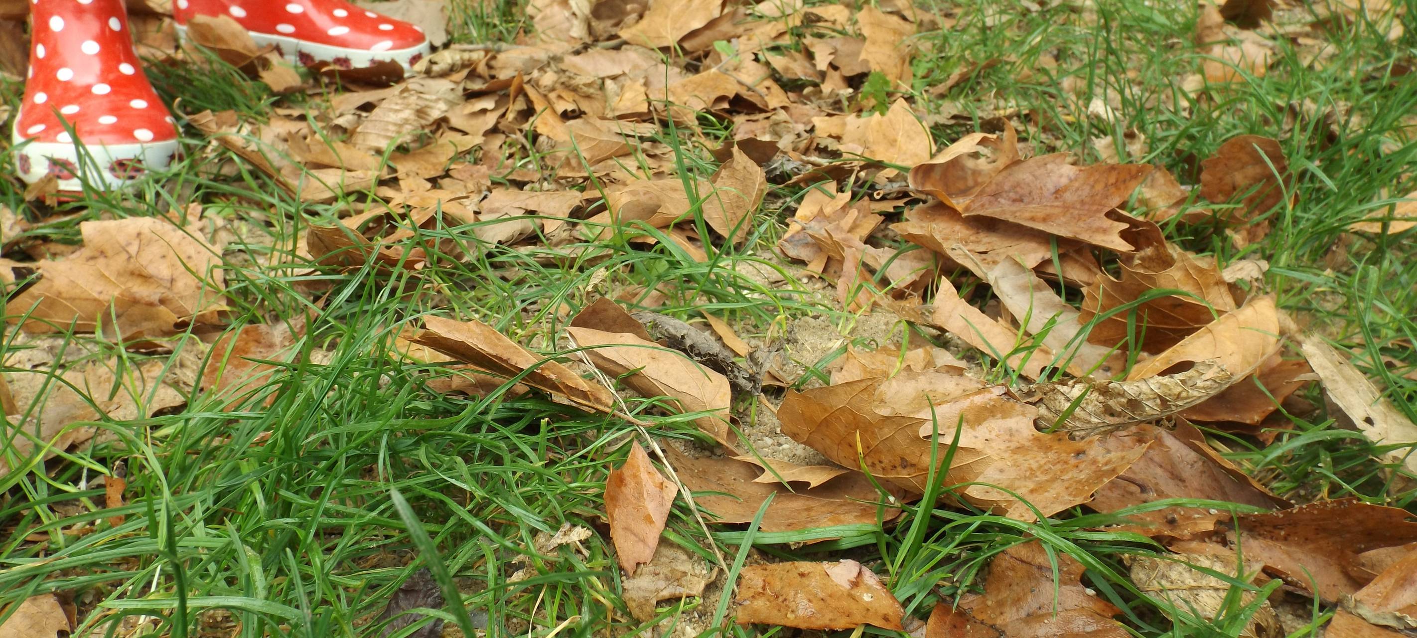 Wesseling: Anmeldung für Ferienprogramm läuft