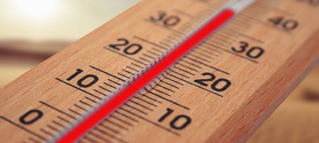 Köln: Kühle Orte für Hitzewellen gesucht