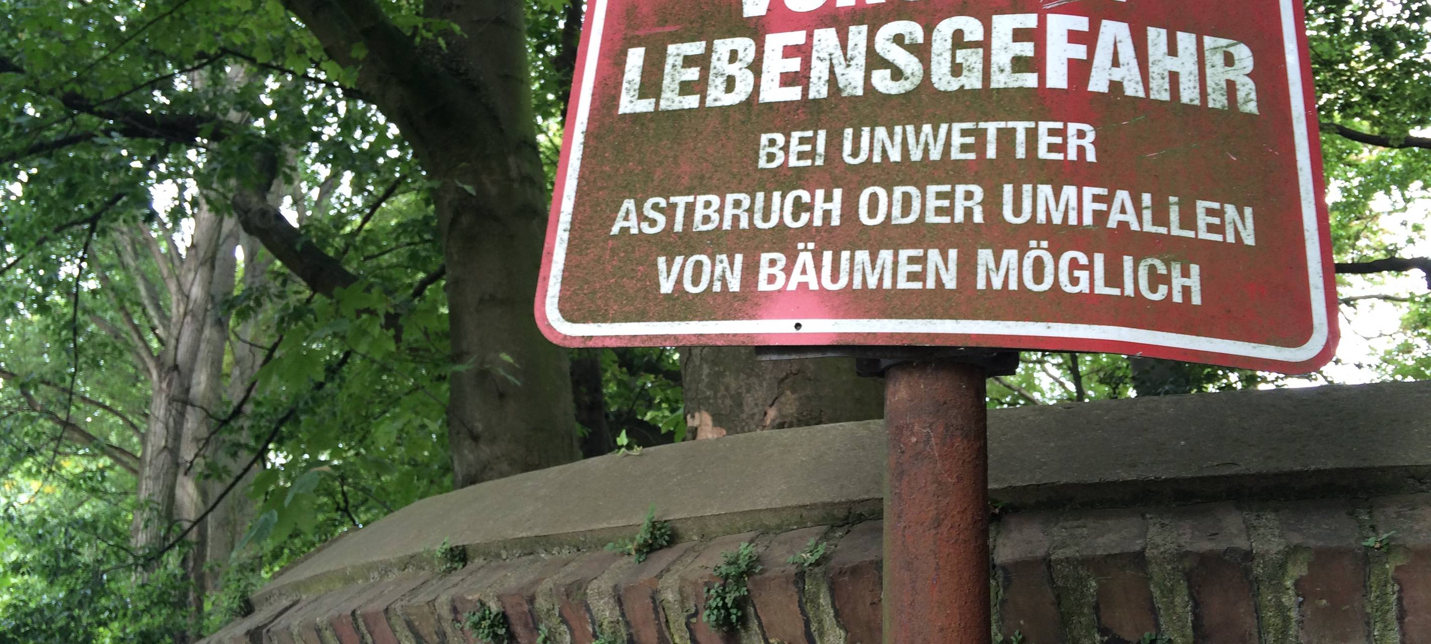 Rhein-Erft: Sturm knickt Bäume um