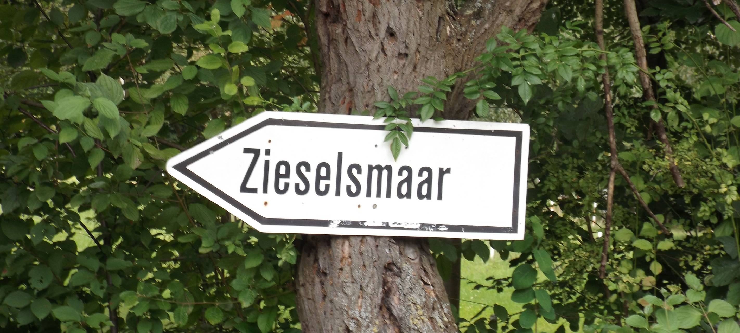 Illegale Altöl-Entsorgung in Kerpen-Brüggen