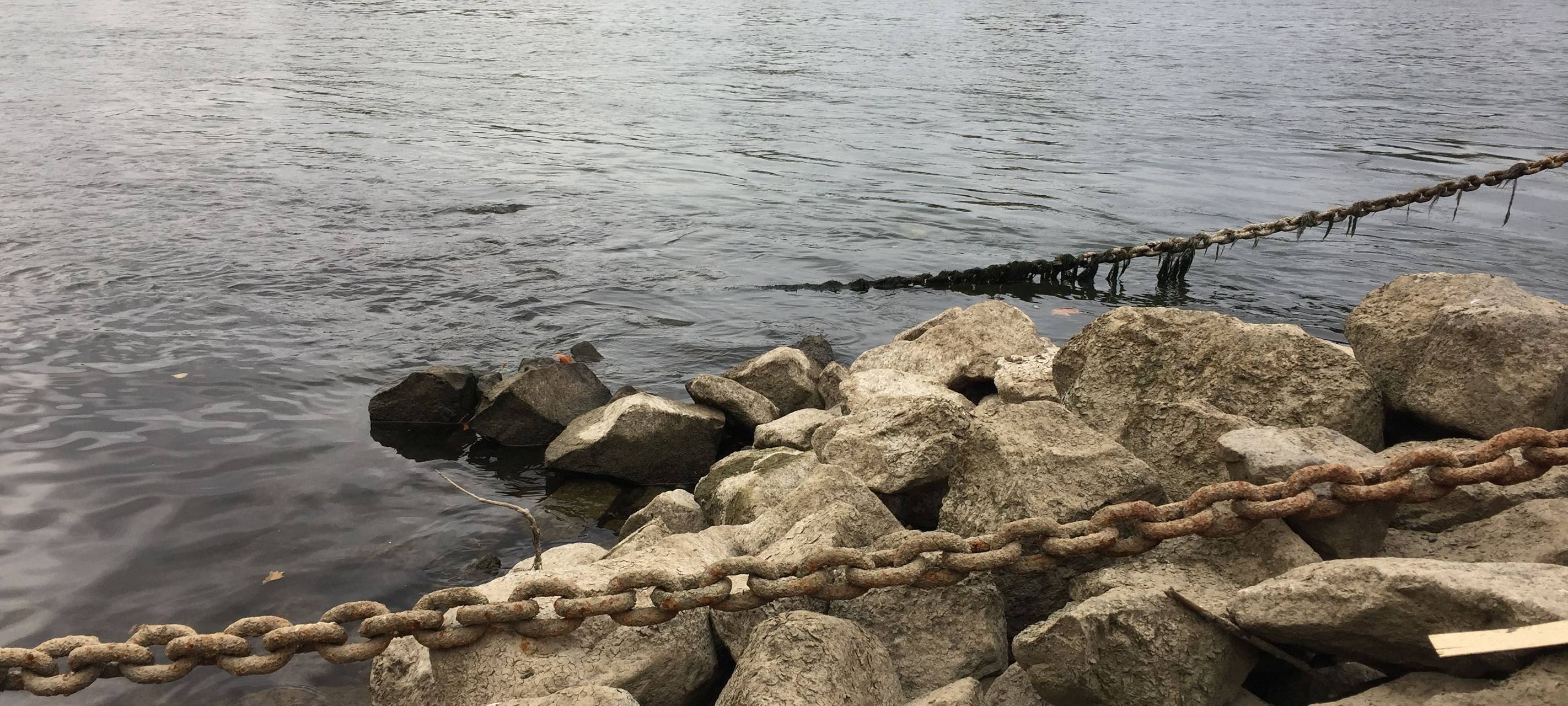 Köln: Mann im Rhein vermisst