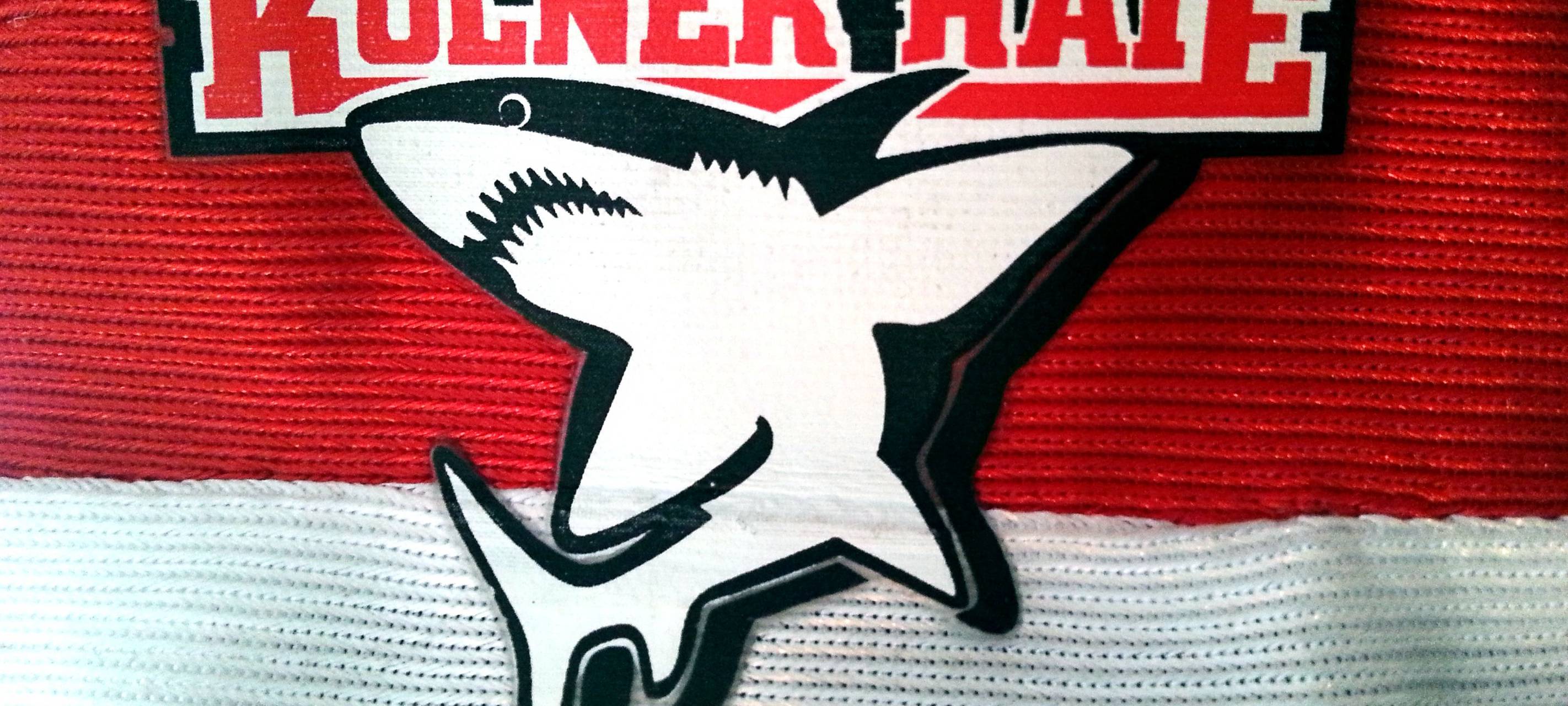 Köln: Haie vor dem Aus?