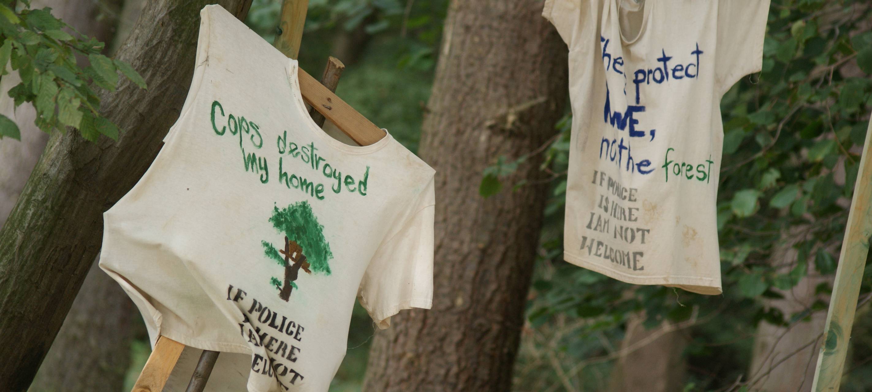 Hambacher Forst: Ein Jahr nach der Räumung