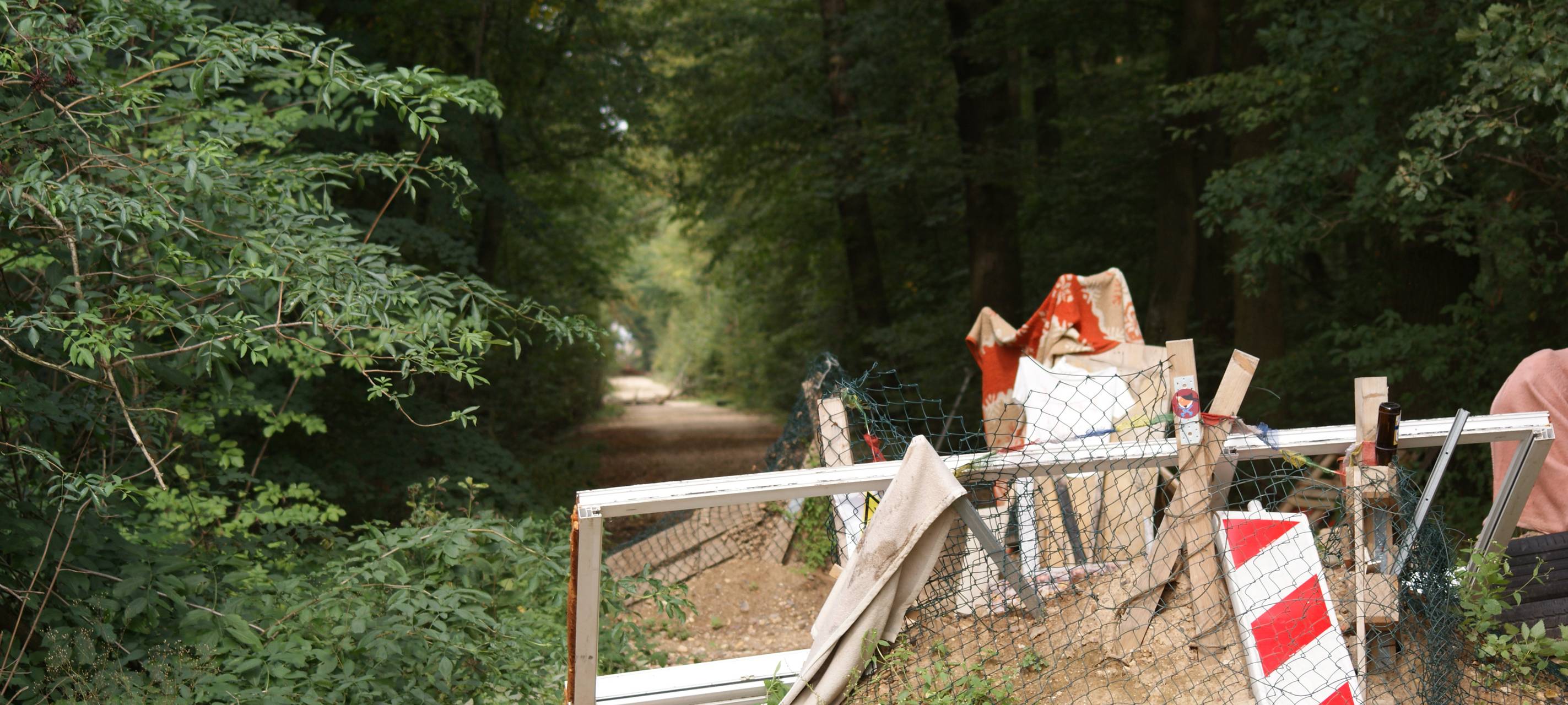 Hambacher Forst: Ein Jahr nach der Räumung