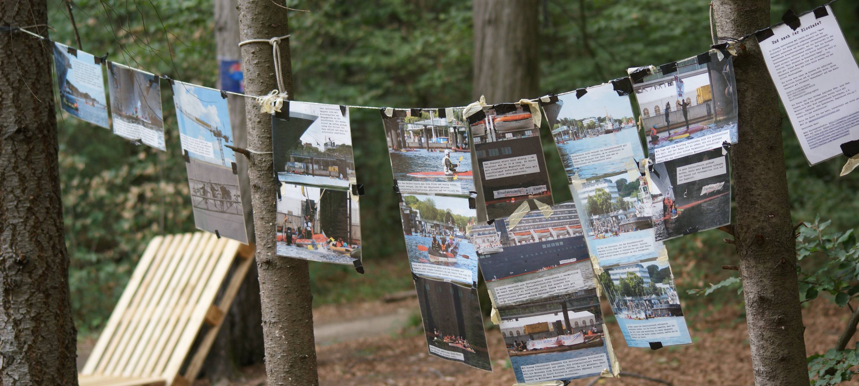 Hambacher Forst: Ein Jahr nach der Räumung