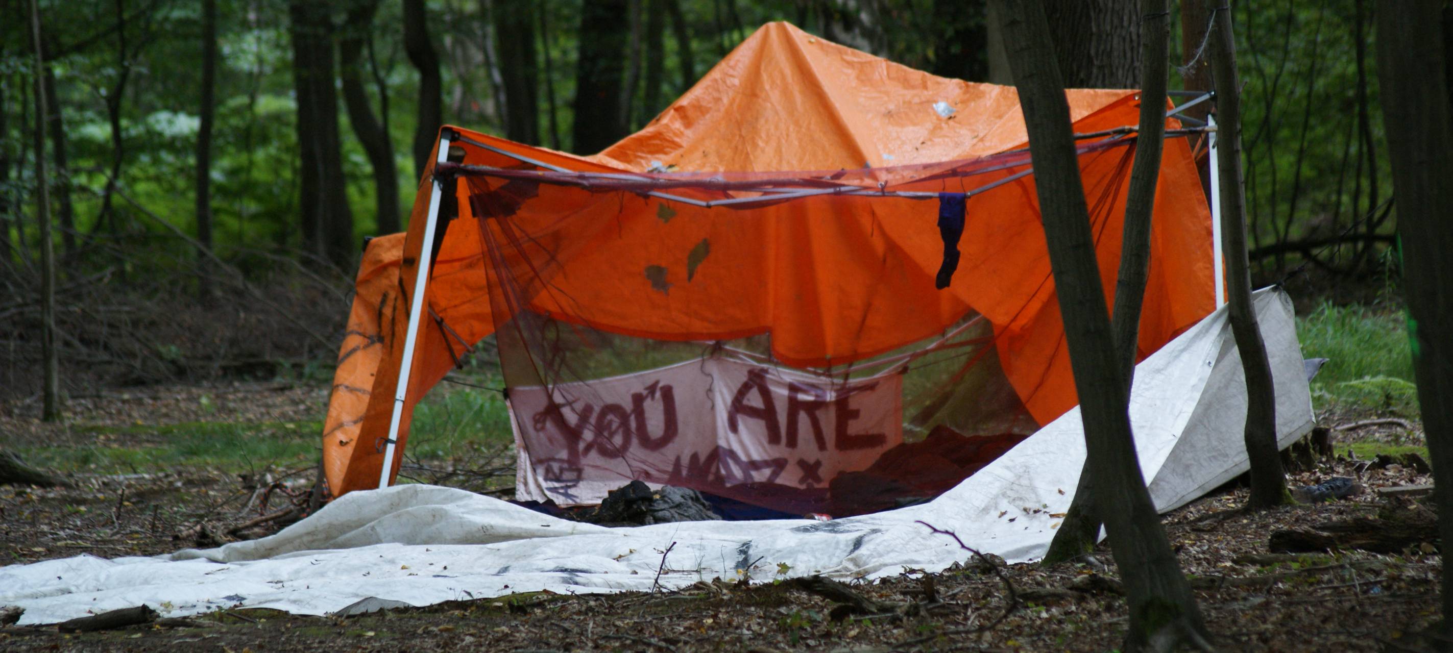 Hambacher Forst: Ein Jahr nach der Räumung