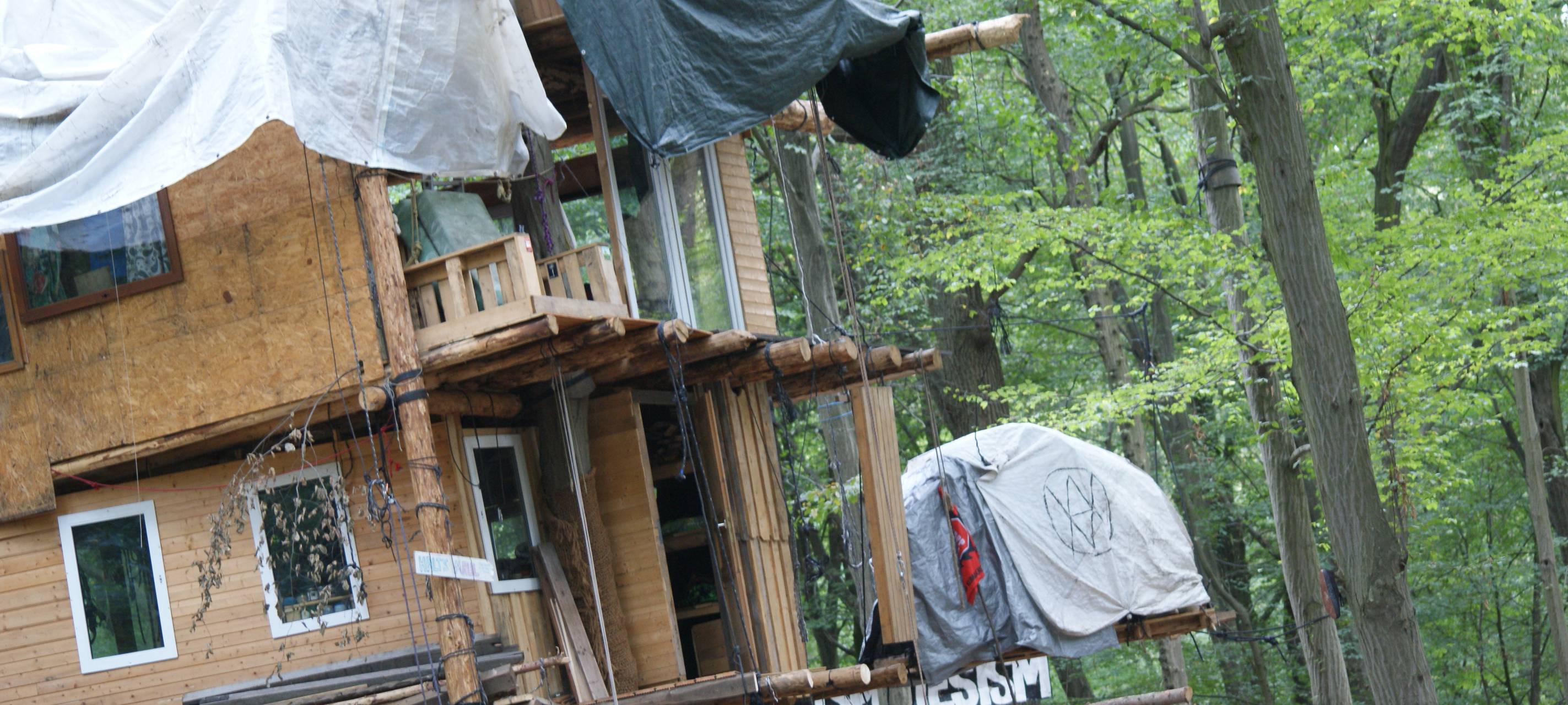 Hambacher Forst: Ein Jahr nach der Räumung