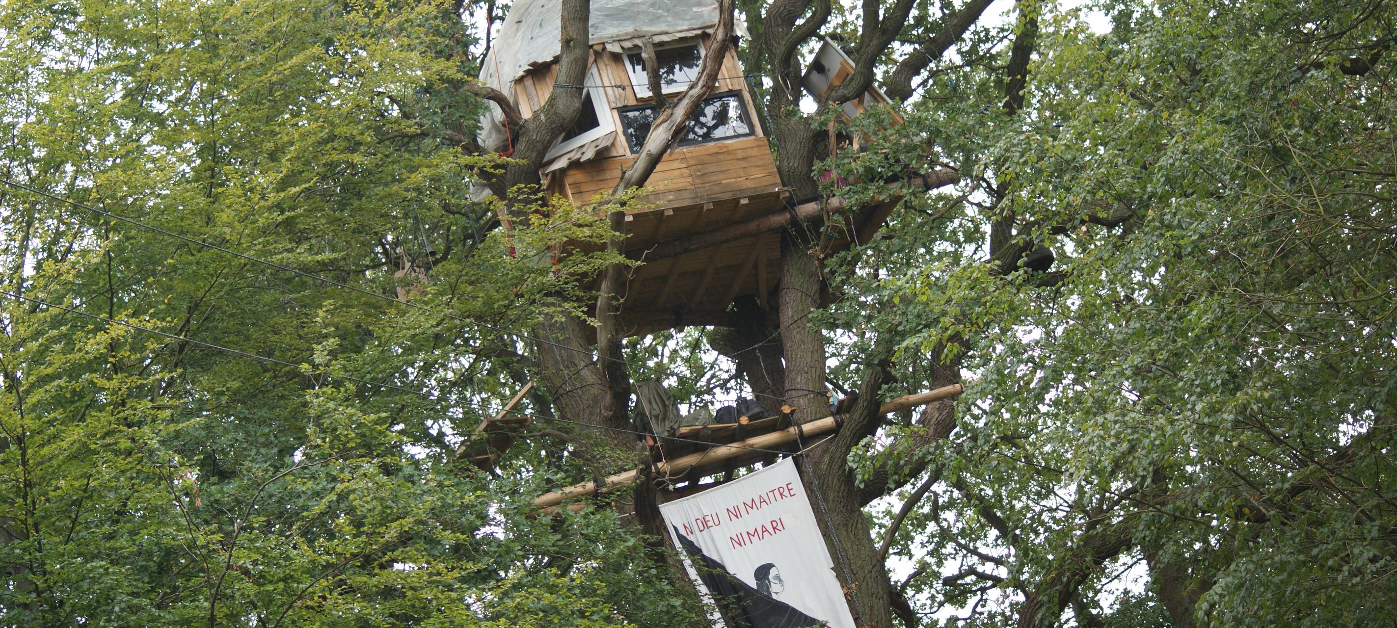 Hambacher Forst: Ein Jahr nach der Räumung