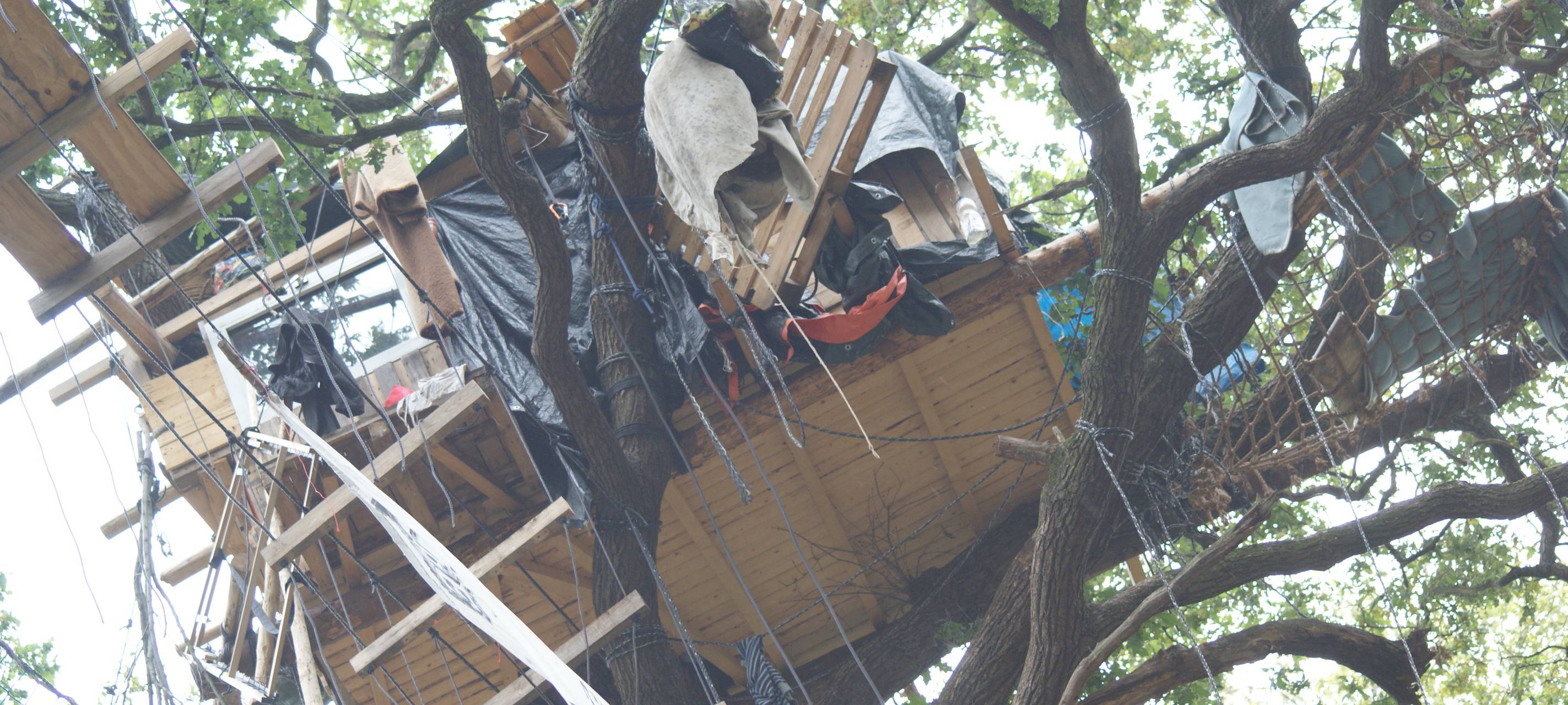 Hambacher Forst: Ein Jahr nach der Räumung