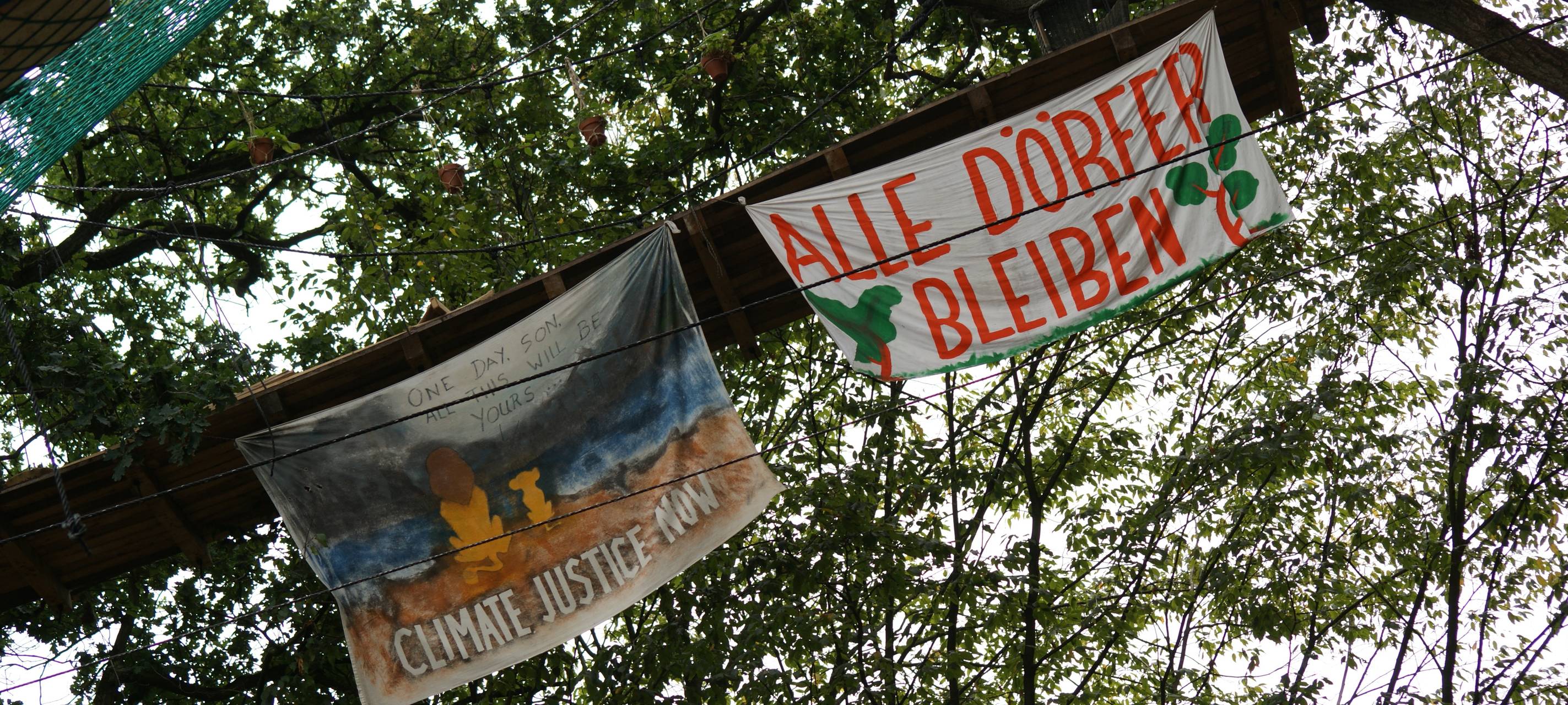 Hambacher Forst: Ein Jahr nach der Räumung