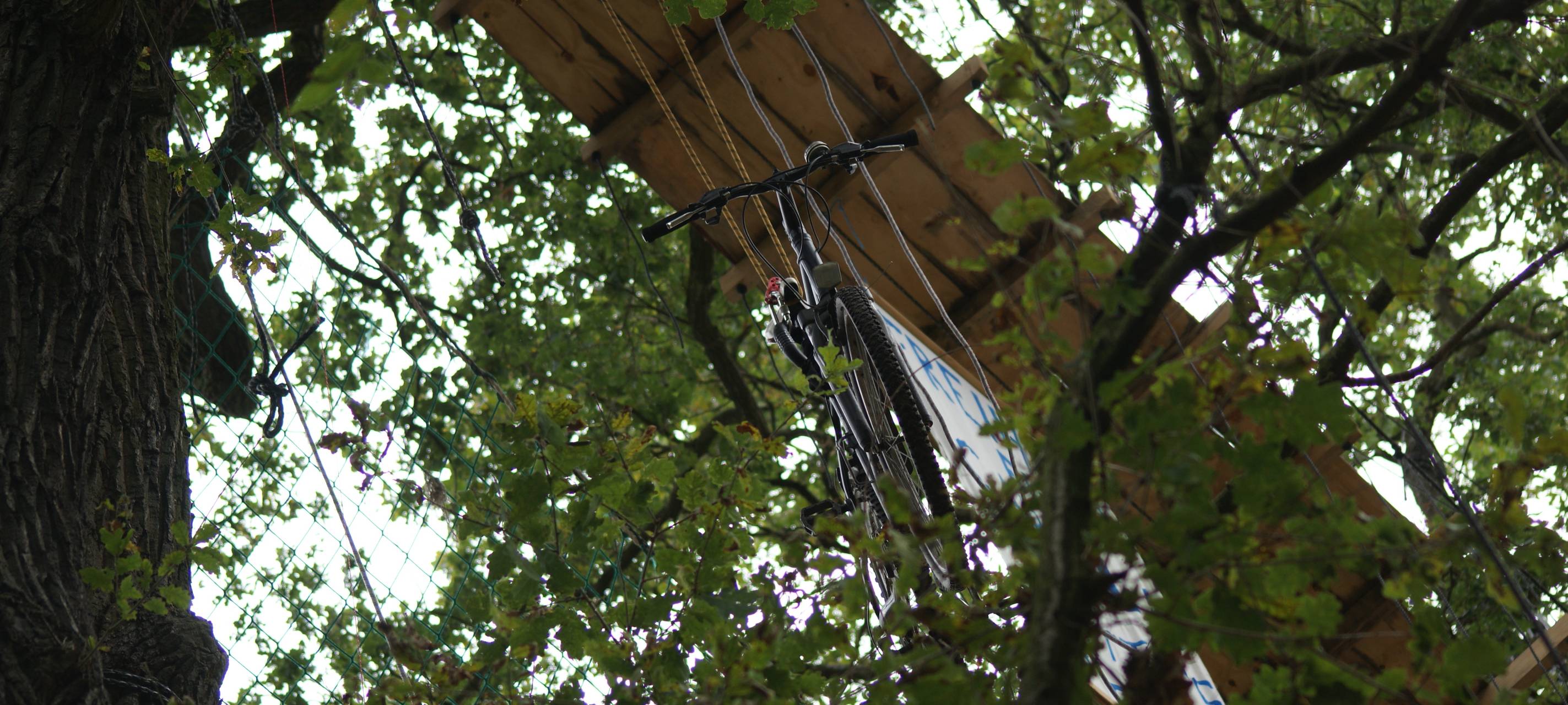 Hambacher Forst: Ein Jahr nach der Räumung