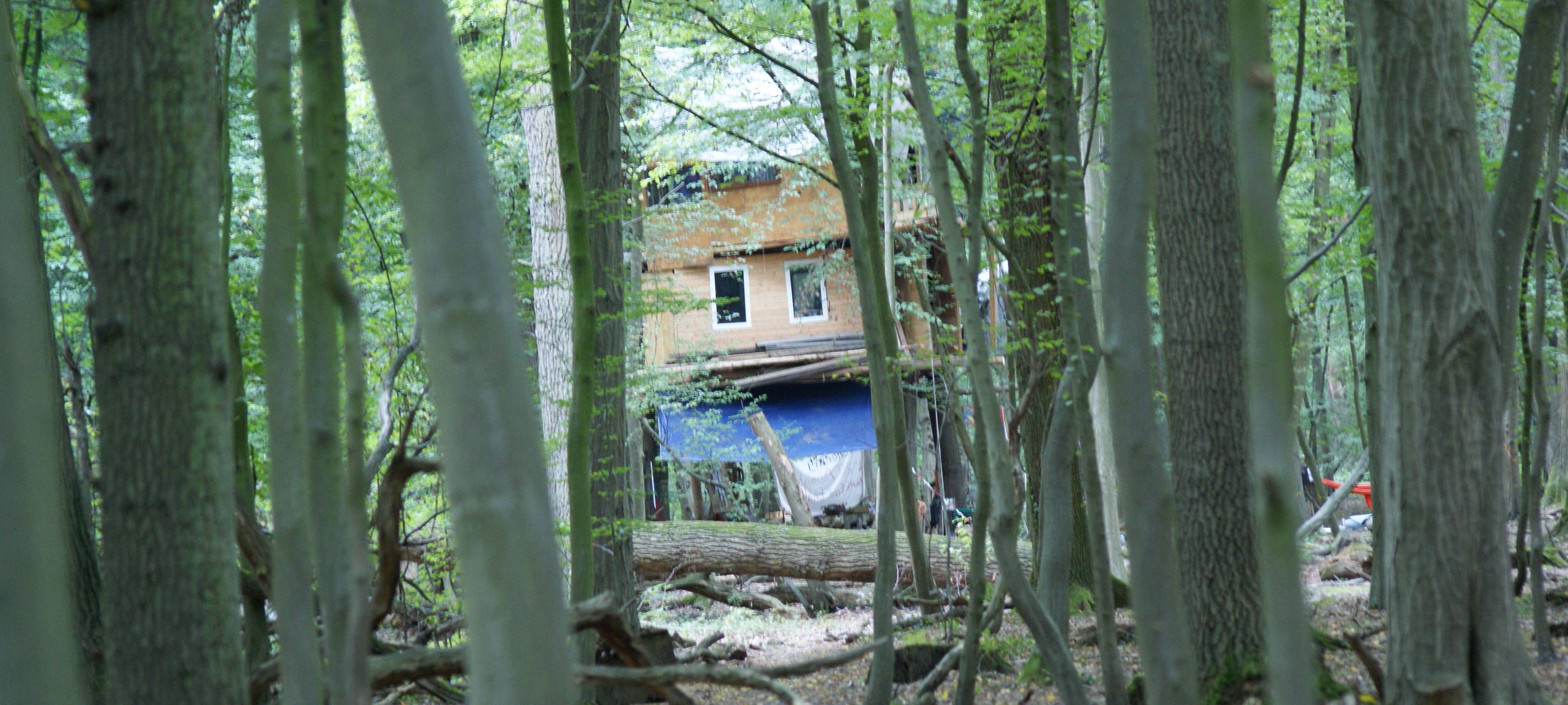Hambacher Forst: Ein Jahr nach der Räumung