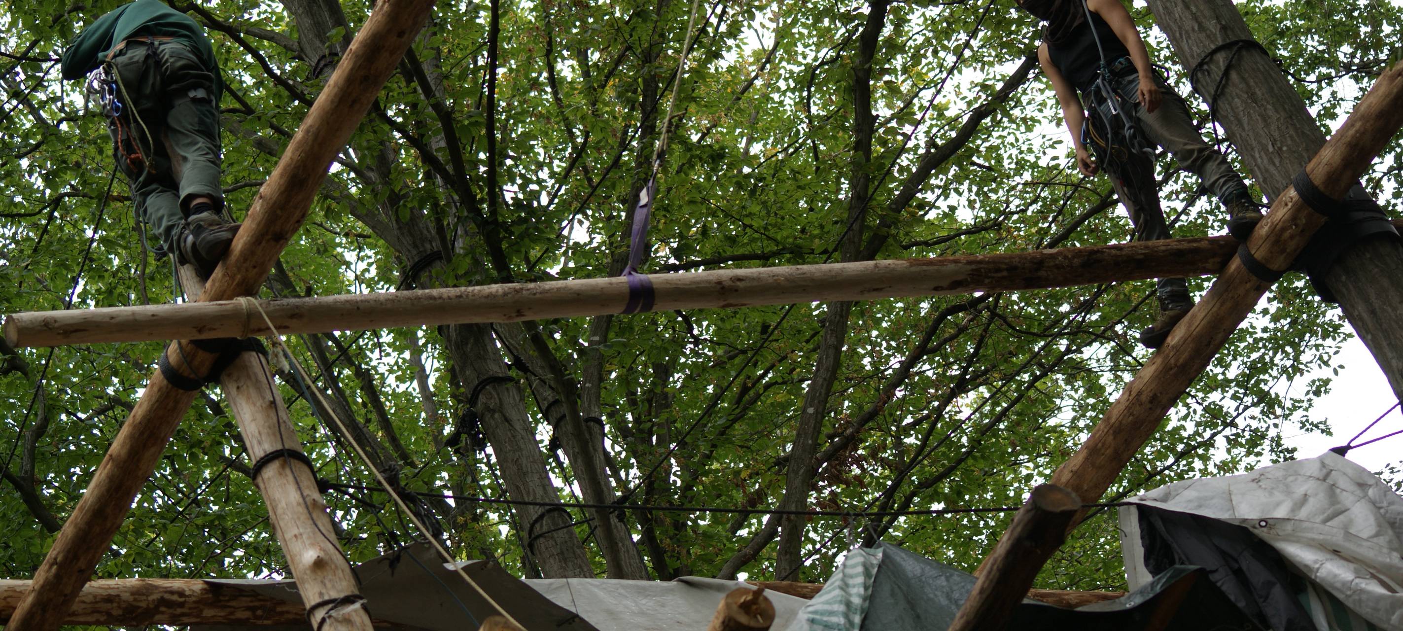 Hambacher Forst: Ein Jahr nach der Räumung