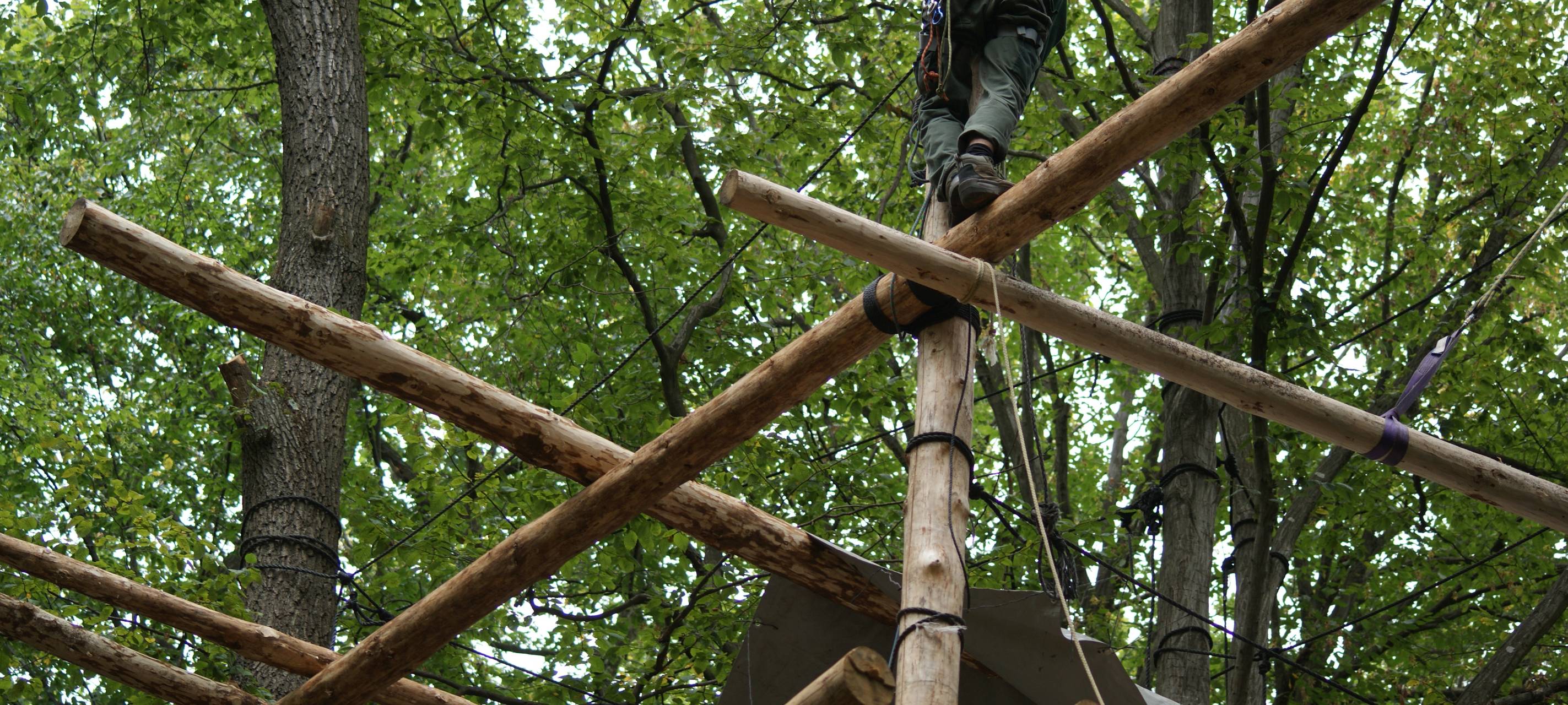 Hambacher Forst: Ein Jahr nach der Räumung