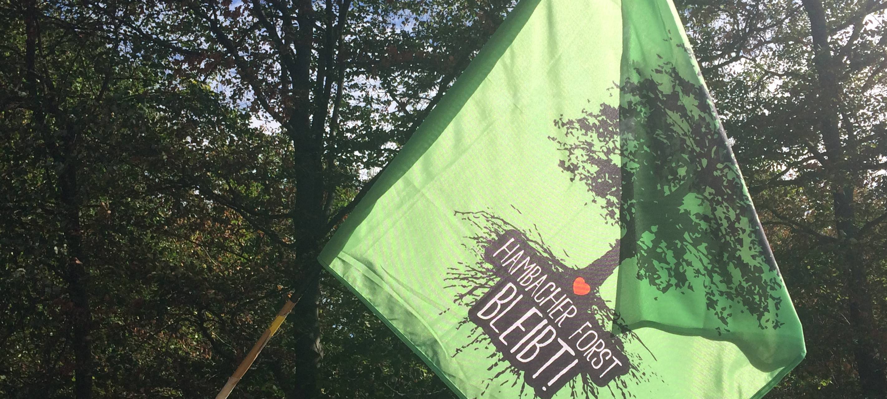 Aktivisten planen neue Rote-Linie-Aktion im Hambacher Wald