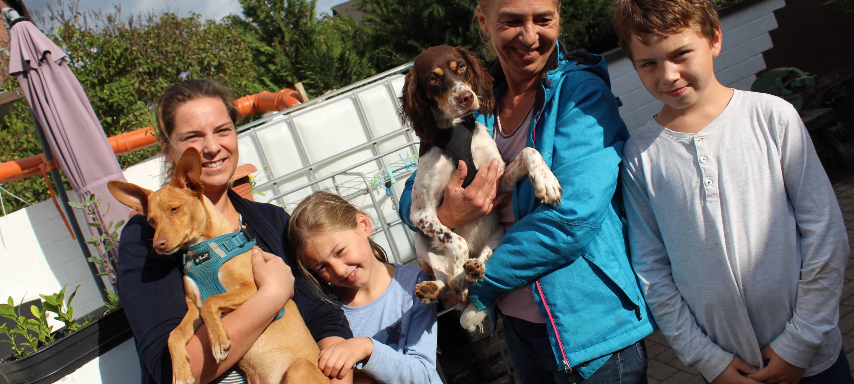 Tierschutz: Hunde aus Mallorca