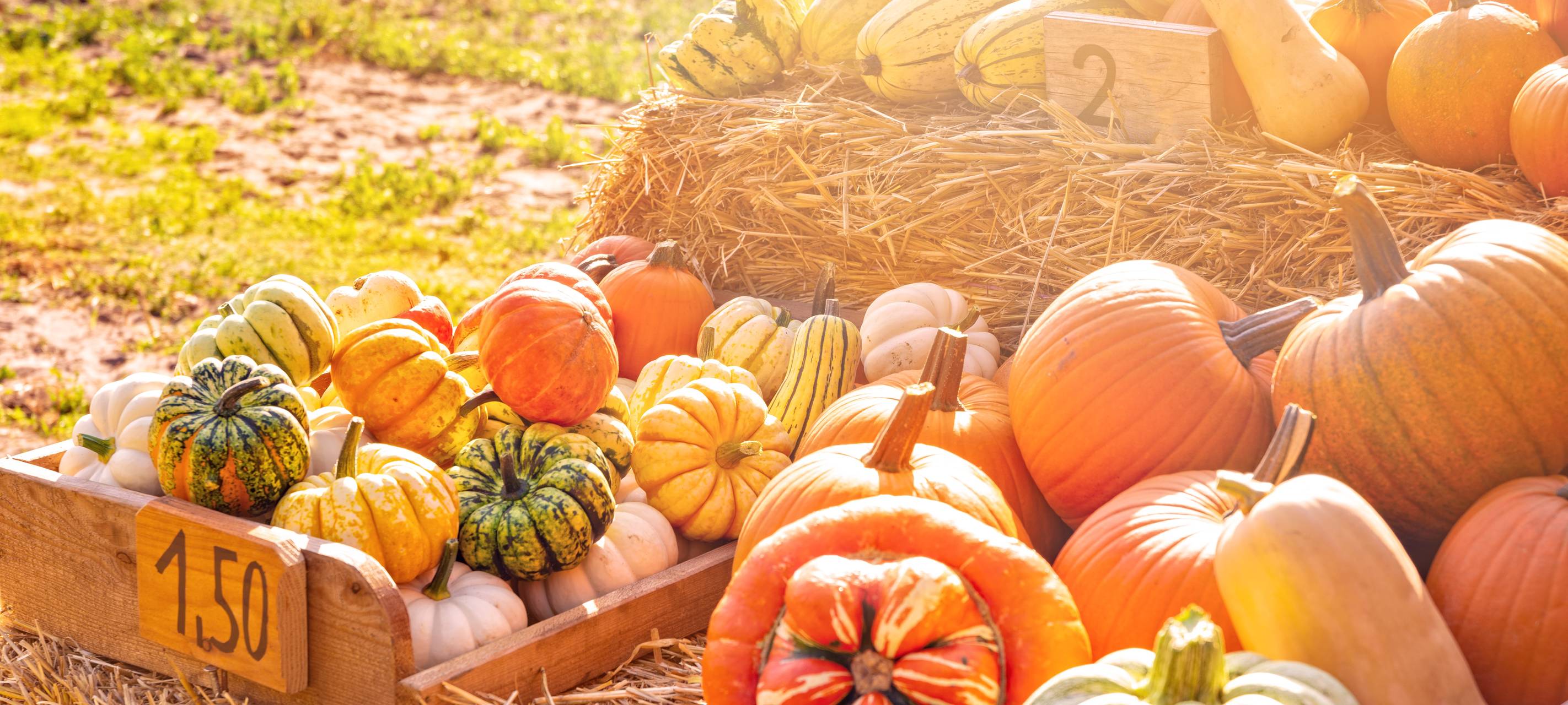 Herbstmärkte im Rhein-Erft-Kreis