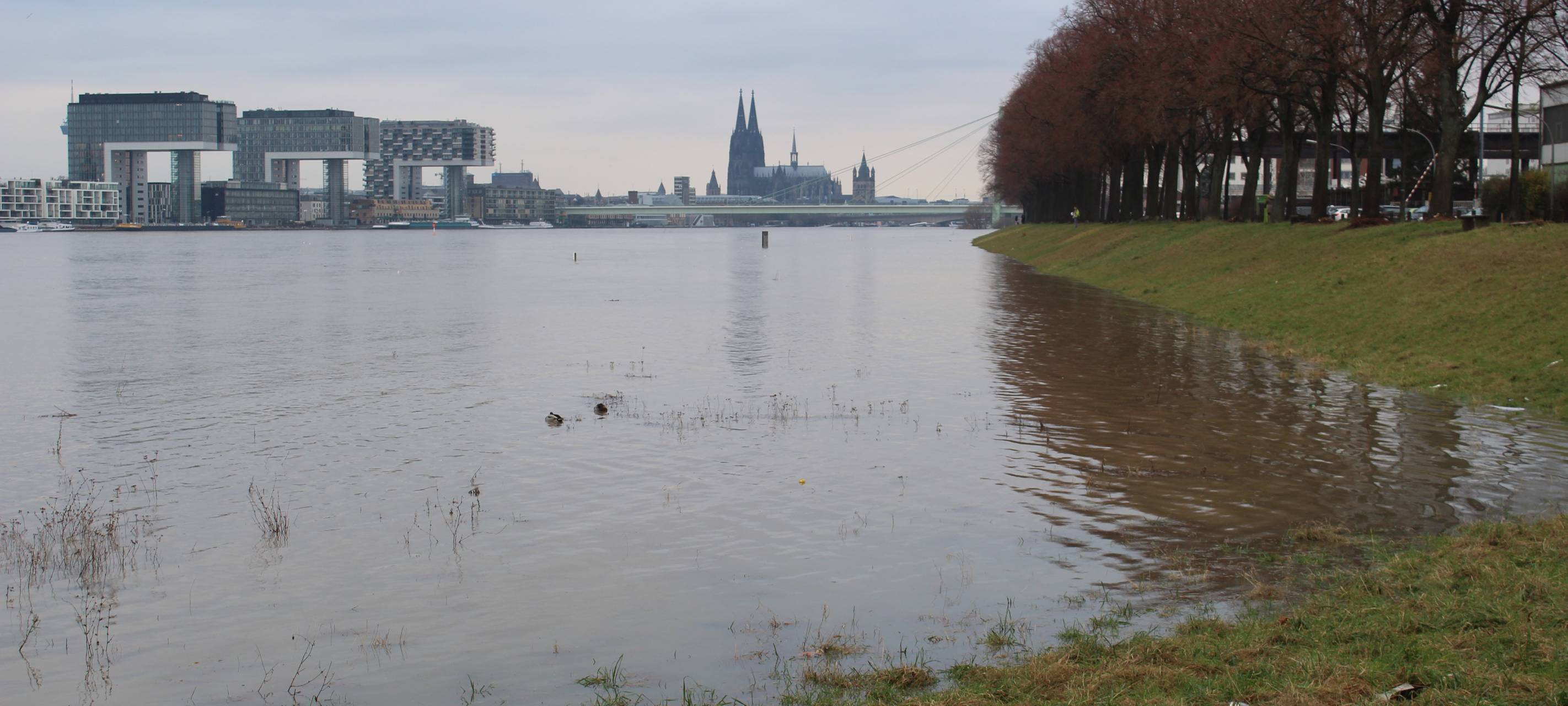 Feuerwehr rettet Touristin aus eiskaltem Rhein