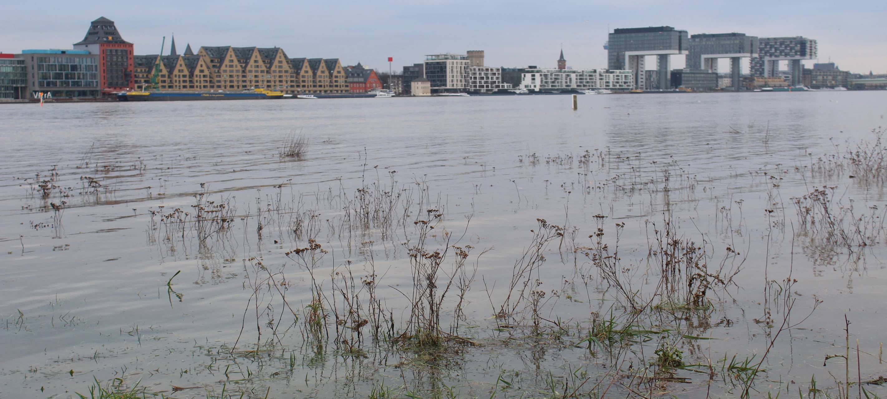 Köln: Rhein-Pegel steigt, zum Wochenende Hochwasser
