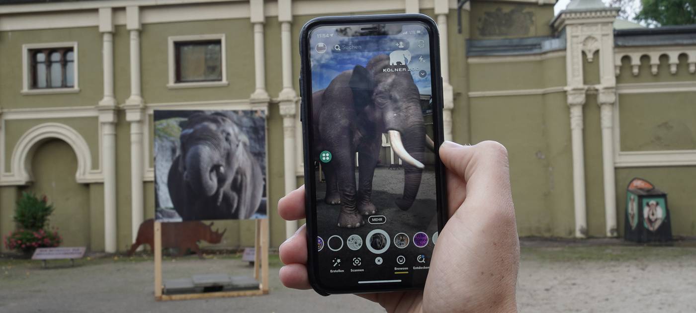 Kölner Zoo: Bedrohte Tiere im Smartphone sehen