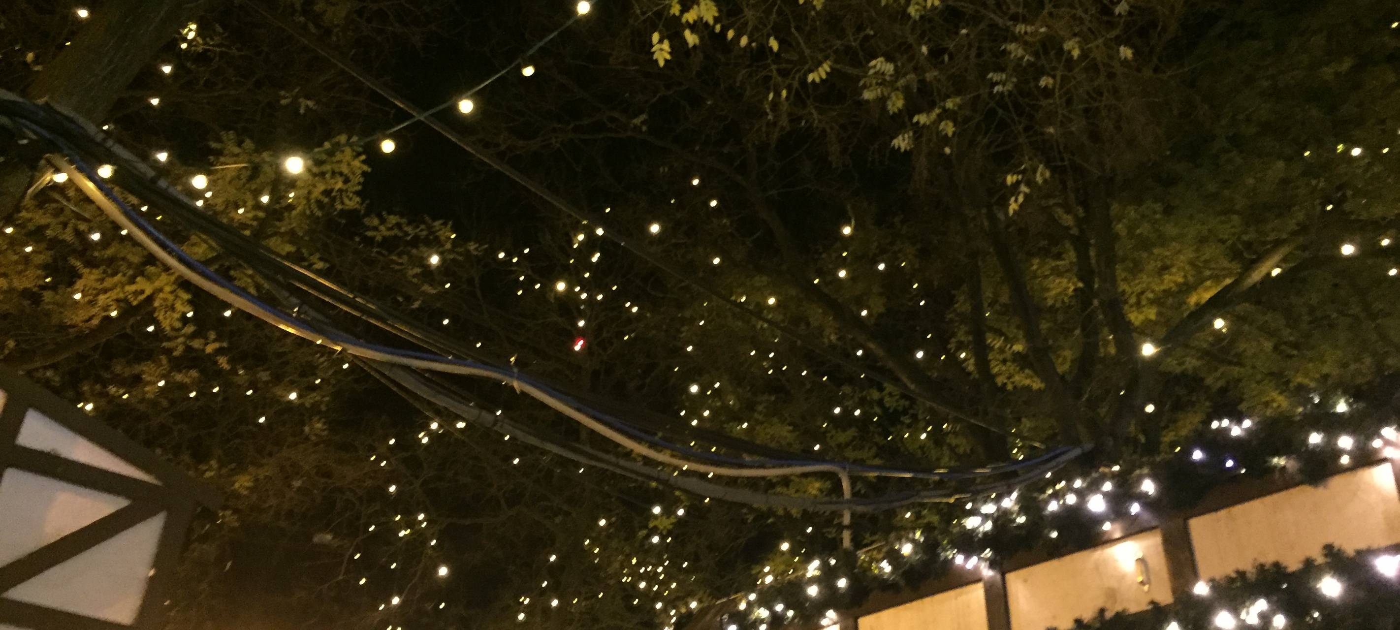 Brühler Weihnachtsmarkt öffnet
