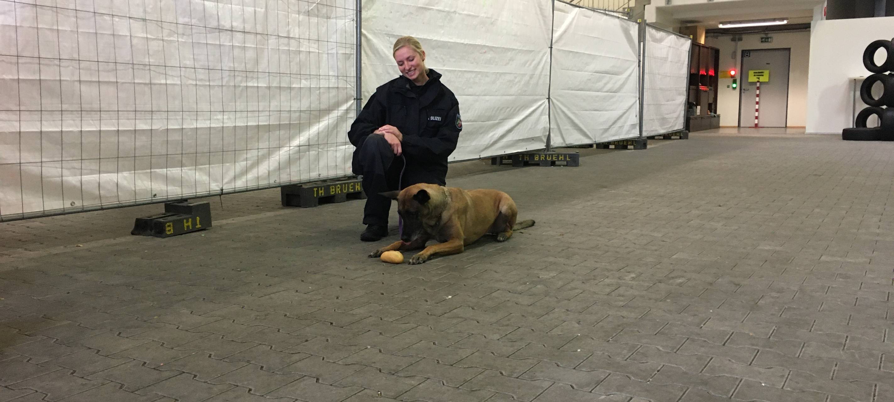 Vargas und Teefje gehen in den Ruhestand