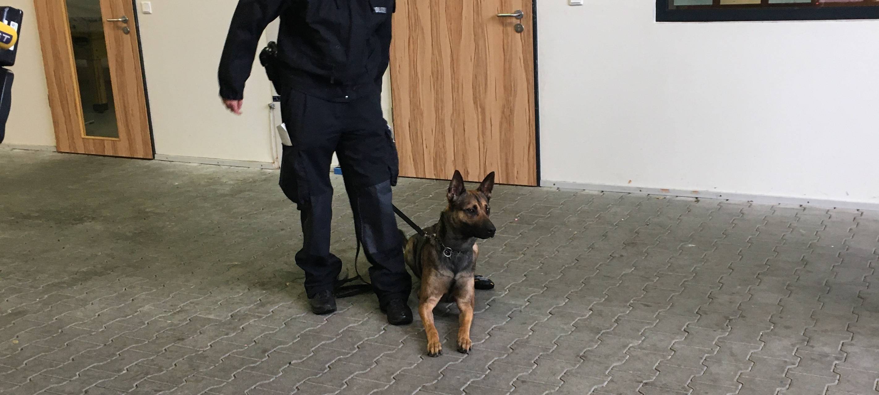 Vargas und Teefje gehen in den Ruhestand