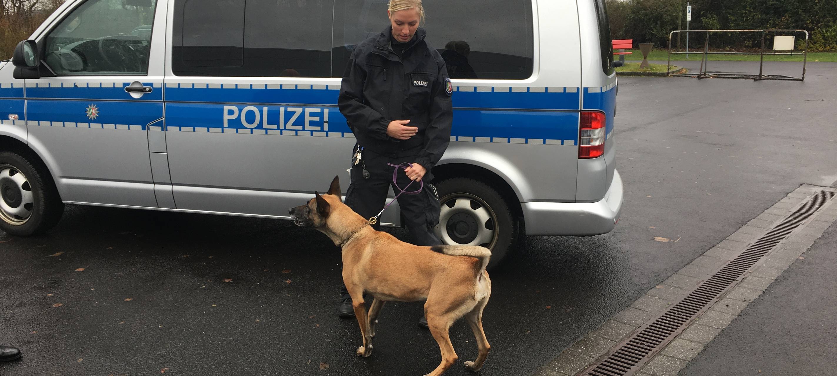 Vargas und Teefje gehen in den Ruhestand