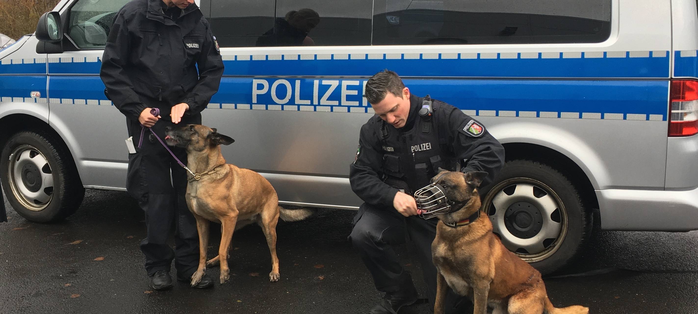 Vargas und Teefje gehen in den Ruhestand