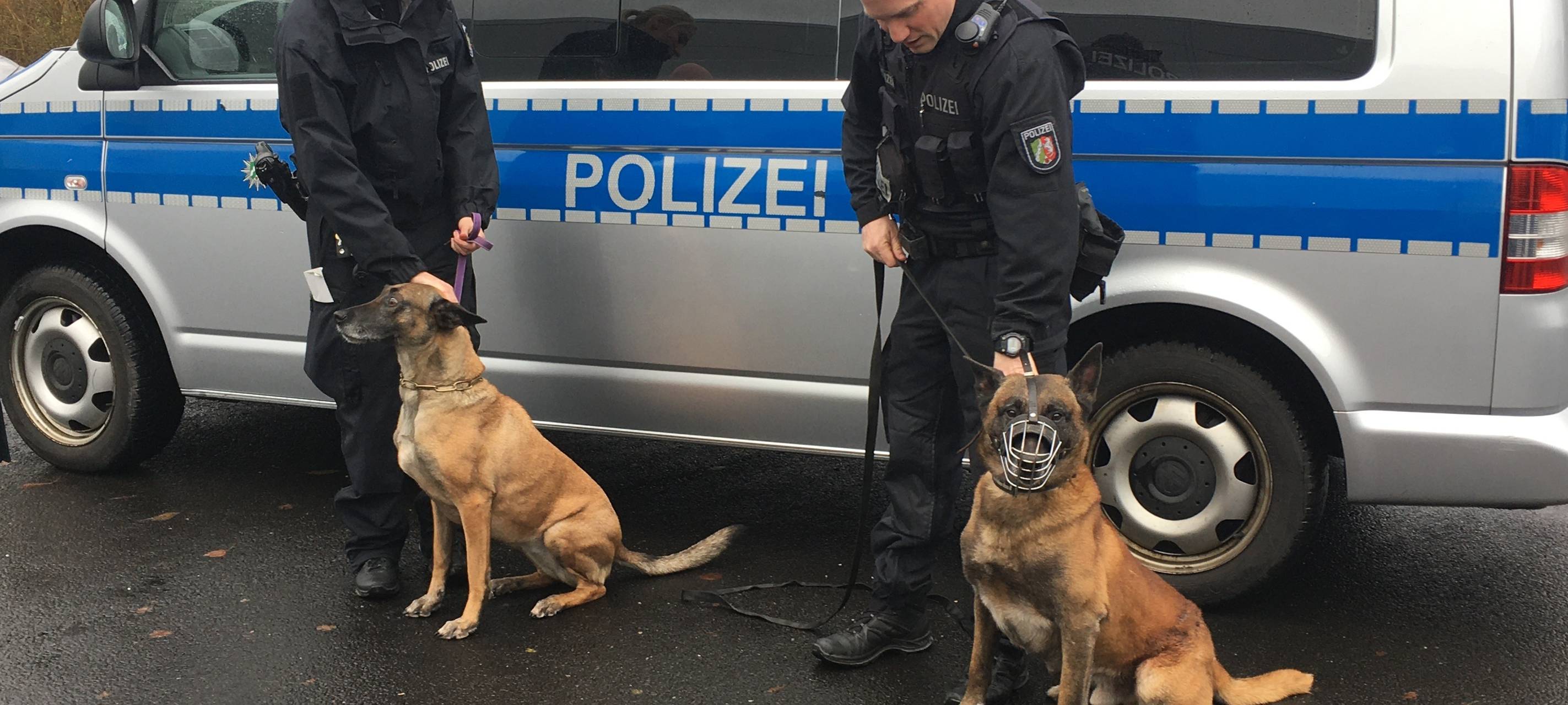 Vargas und Teefje gehen in den Ruhestand
