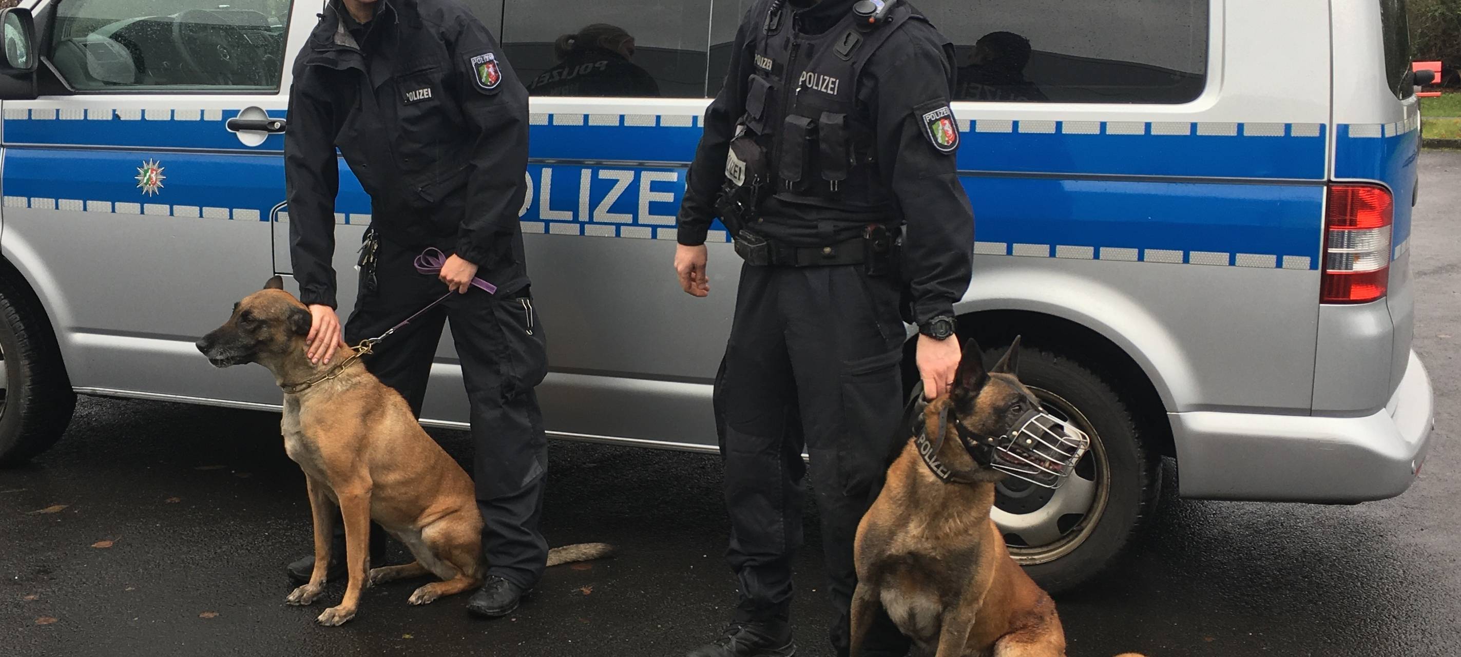 Vargas und Teefje gehen in den Ruhestand