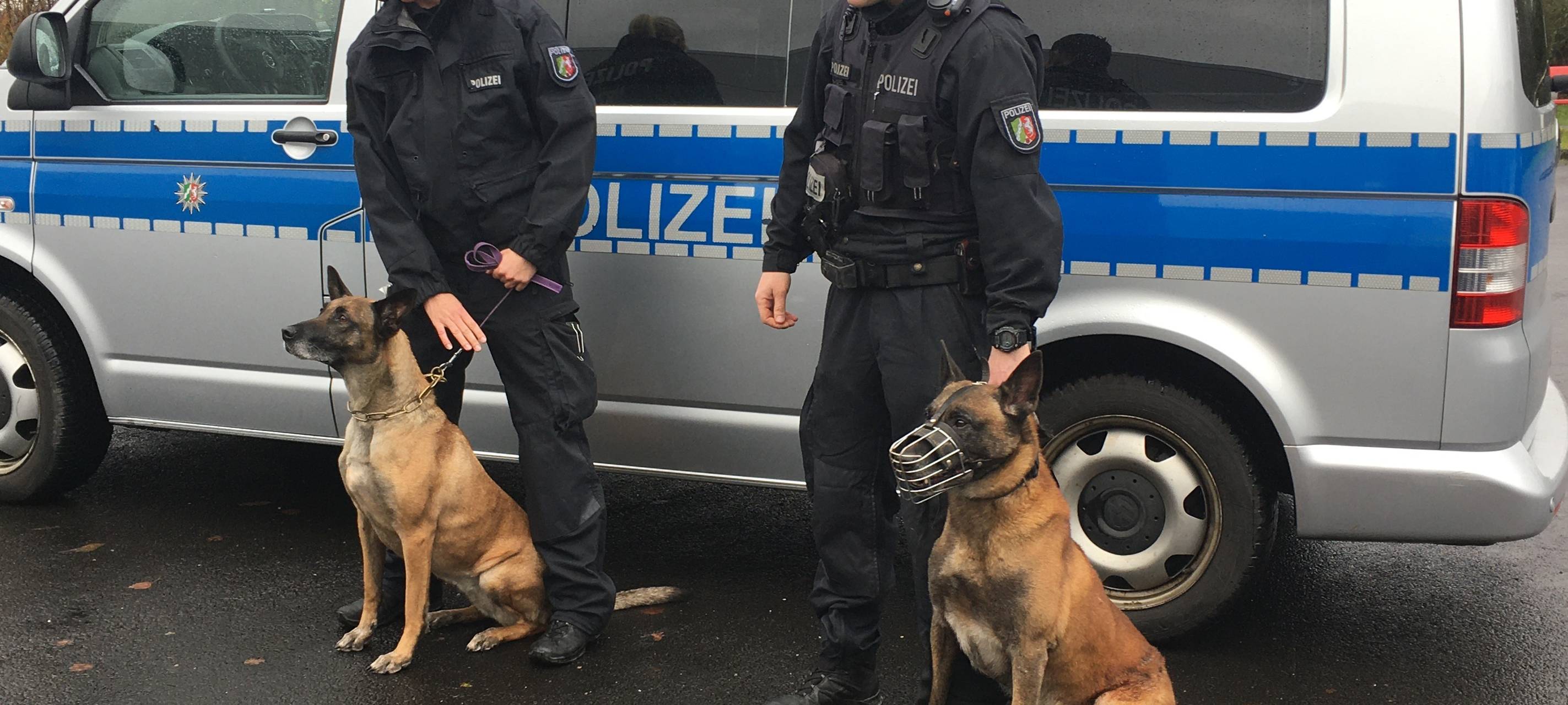 Vargas und Teefje gehen in den Ruhestand