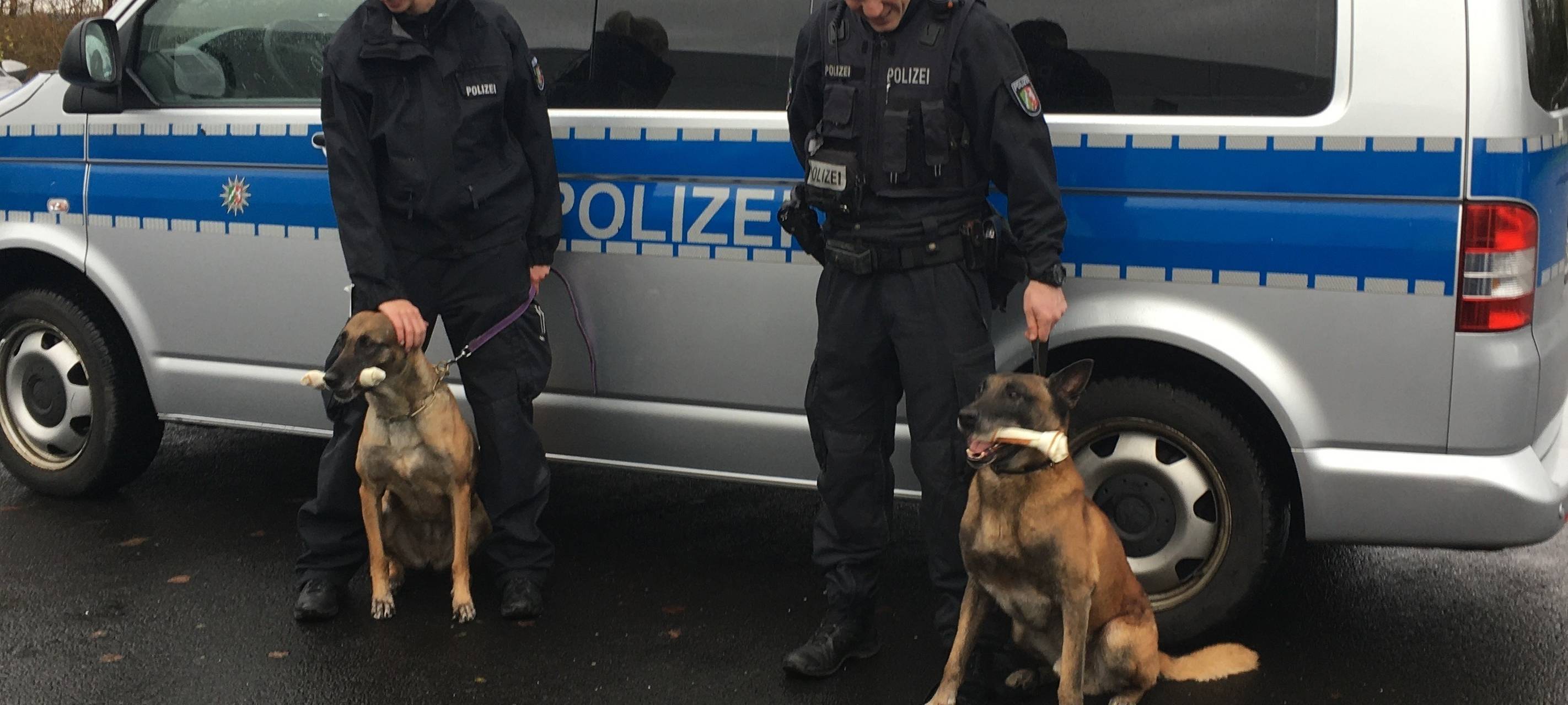 Vargas und Teefje gehen in den Ruhestand