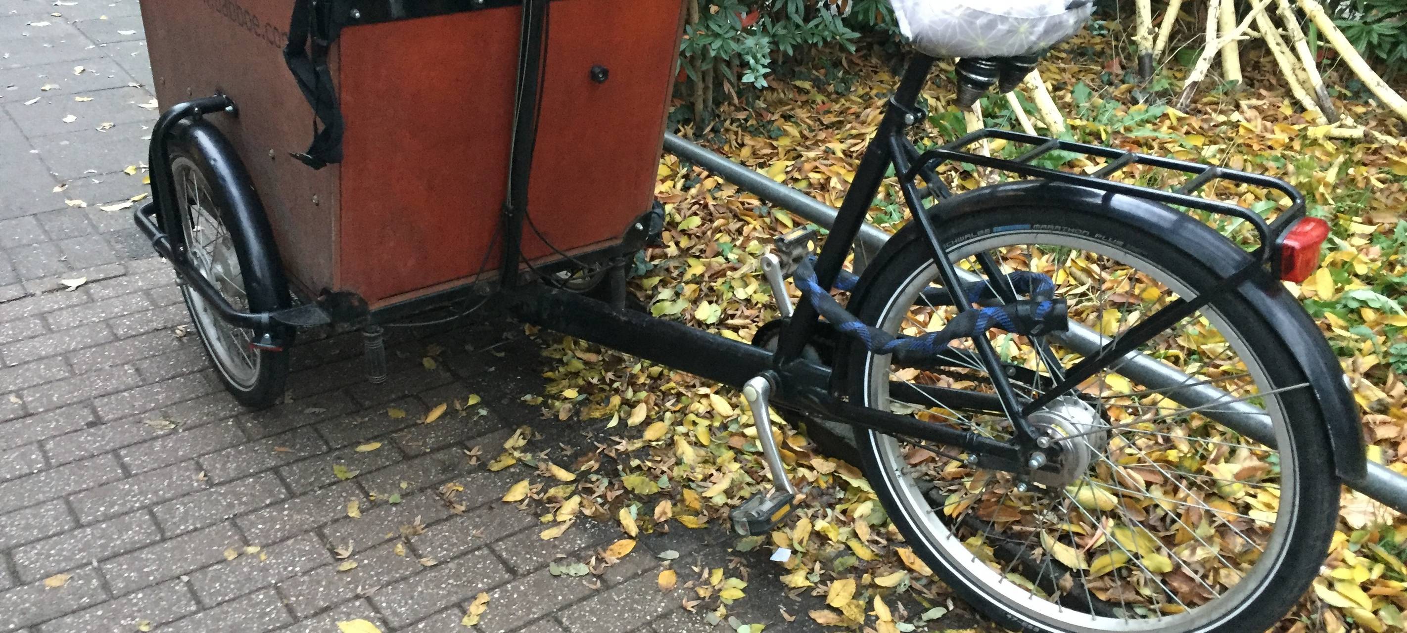 Rhein-Erft: Lastenfahrräder immer beliebter