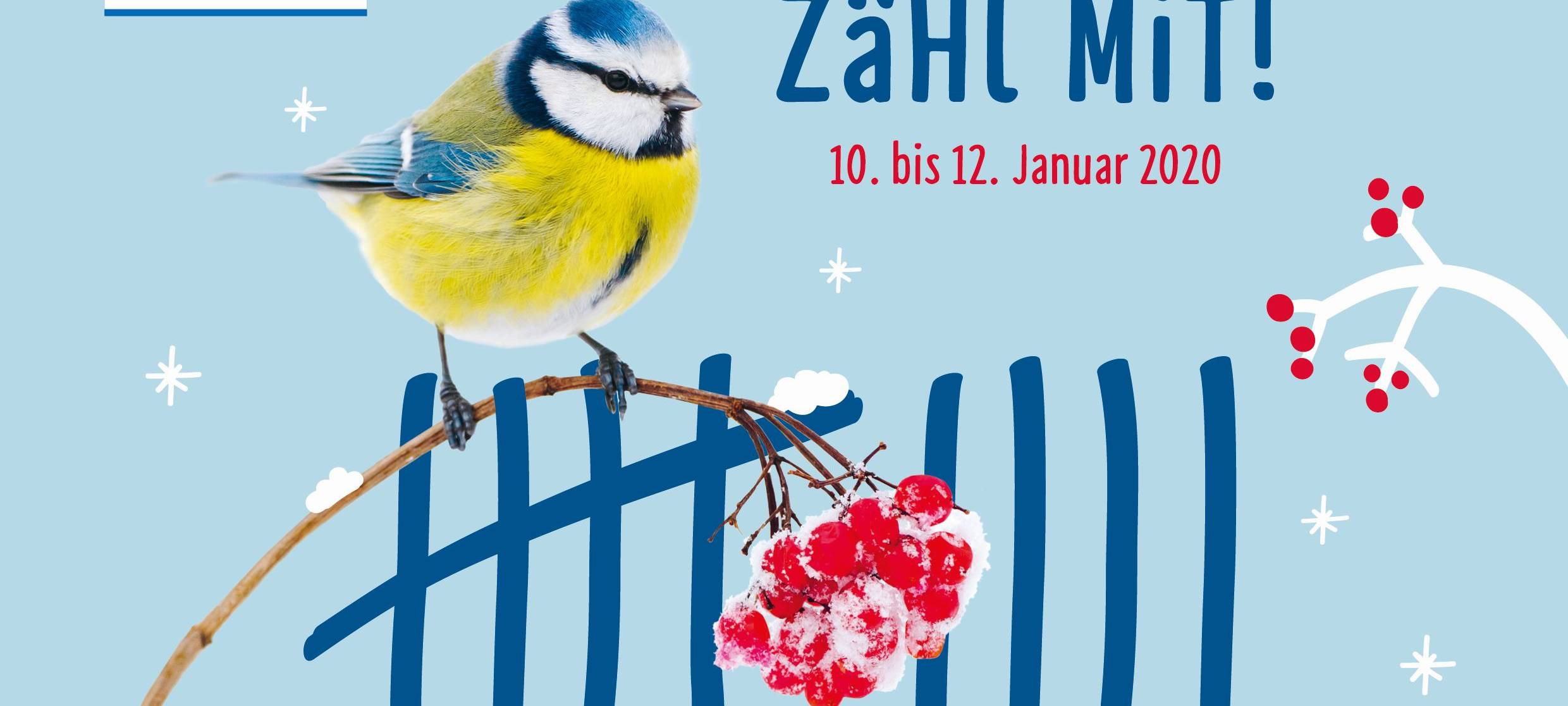 Wie viele Vögel sind da?