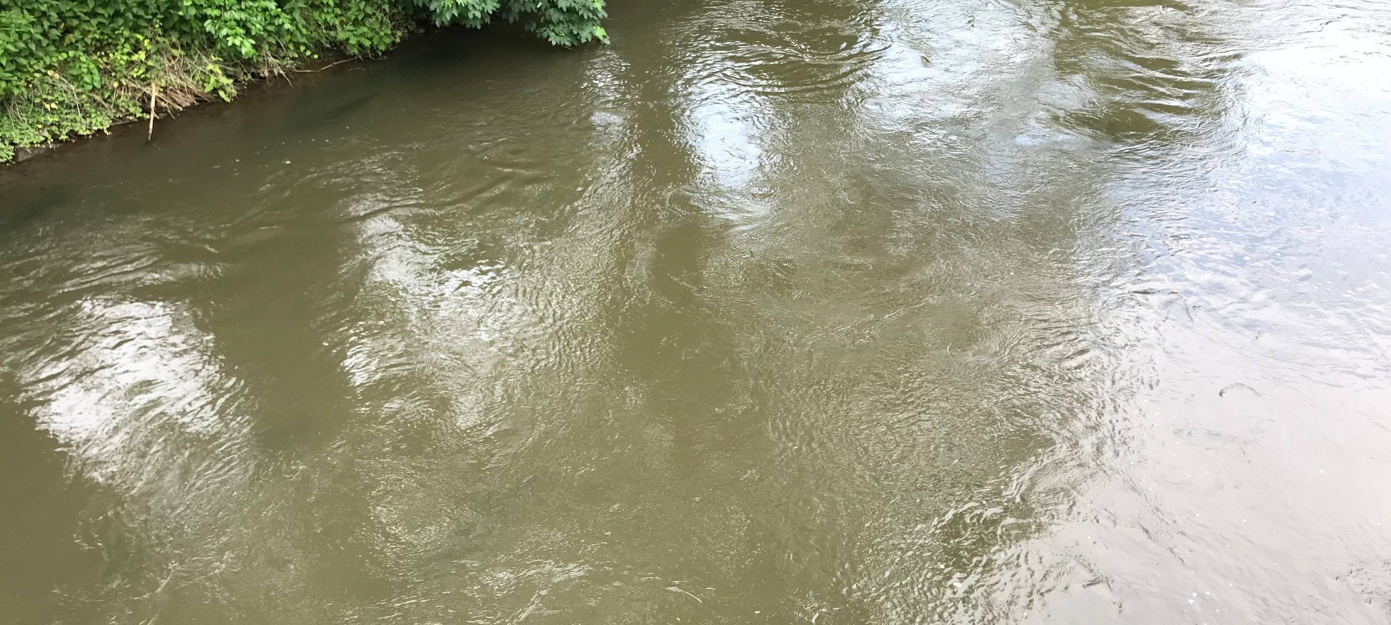 Erftverband zieht Bilanz des Wasserwirtschaftsjahres